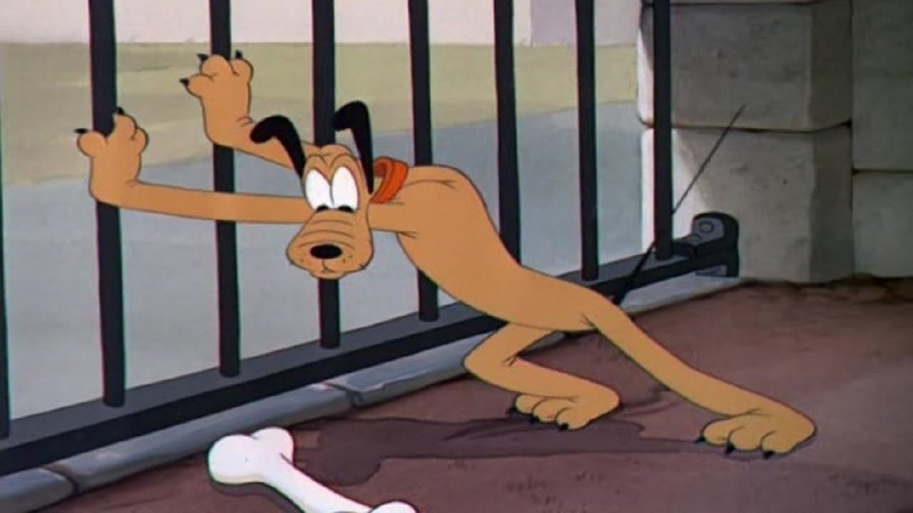 Backdrop for Pluto at the Zoo