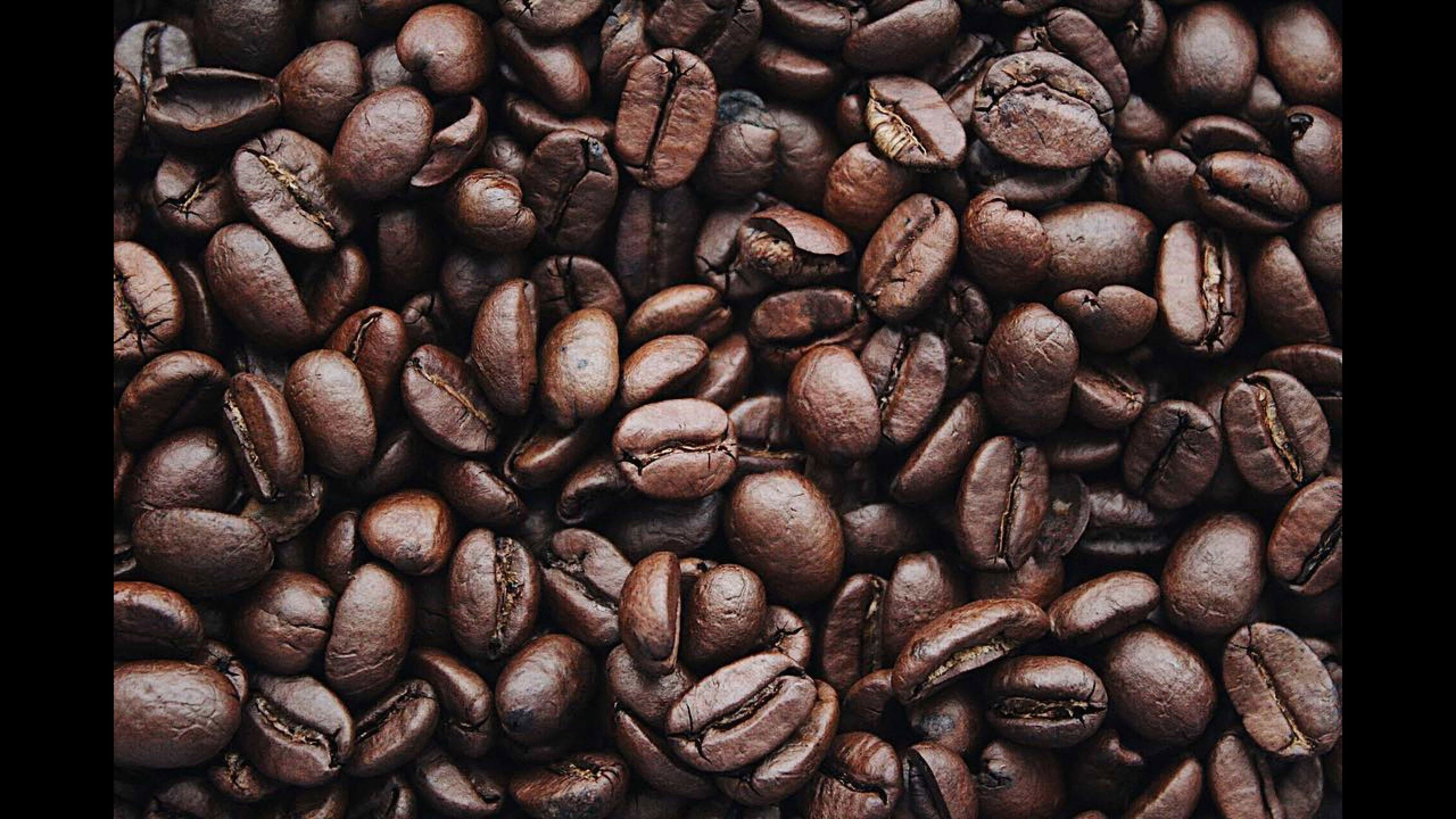 Backdrop for The Lonely Hearts Café