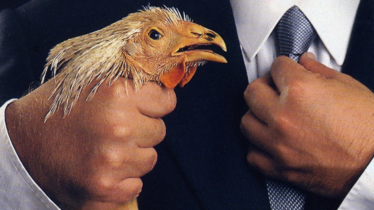 Backdrop for I fetentoni