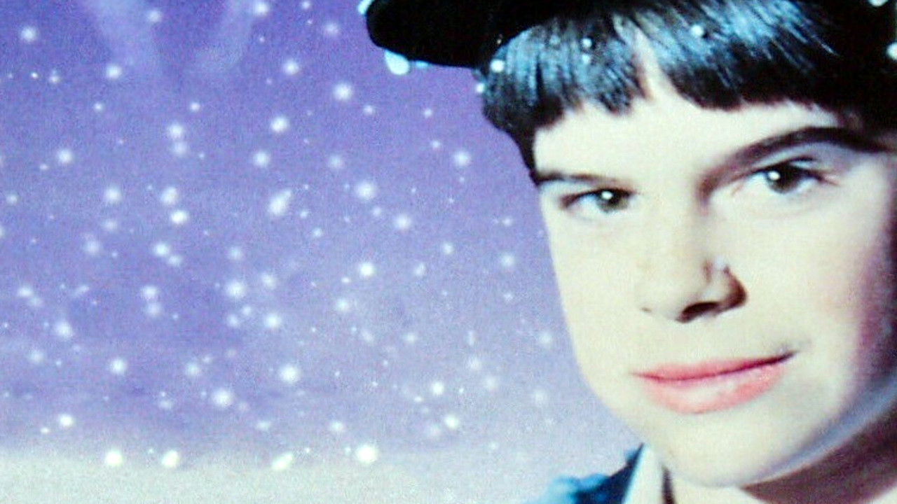 Backdrop for A Christmas Reunion