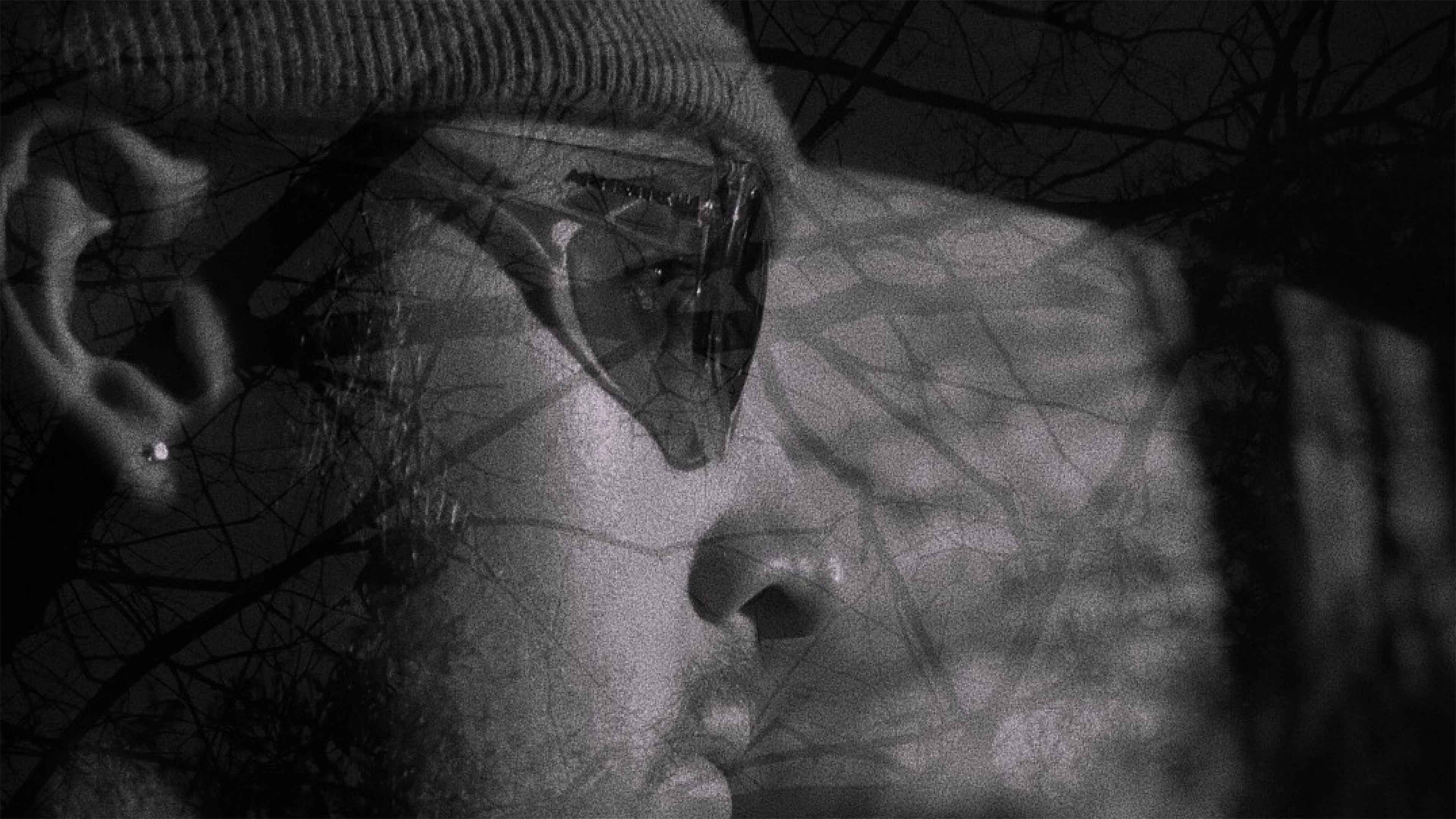 Backdrop for A SIGN OF NOTHING