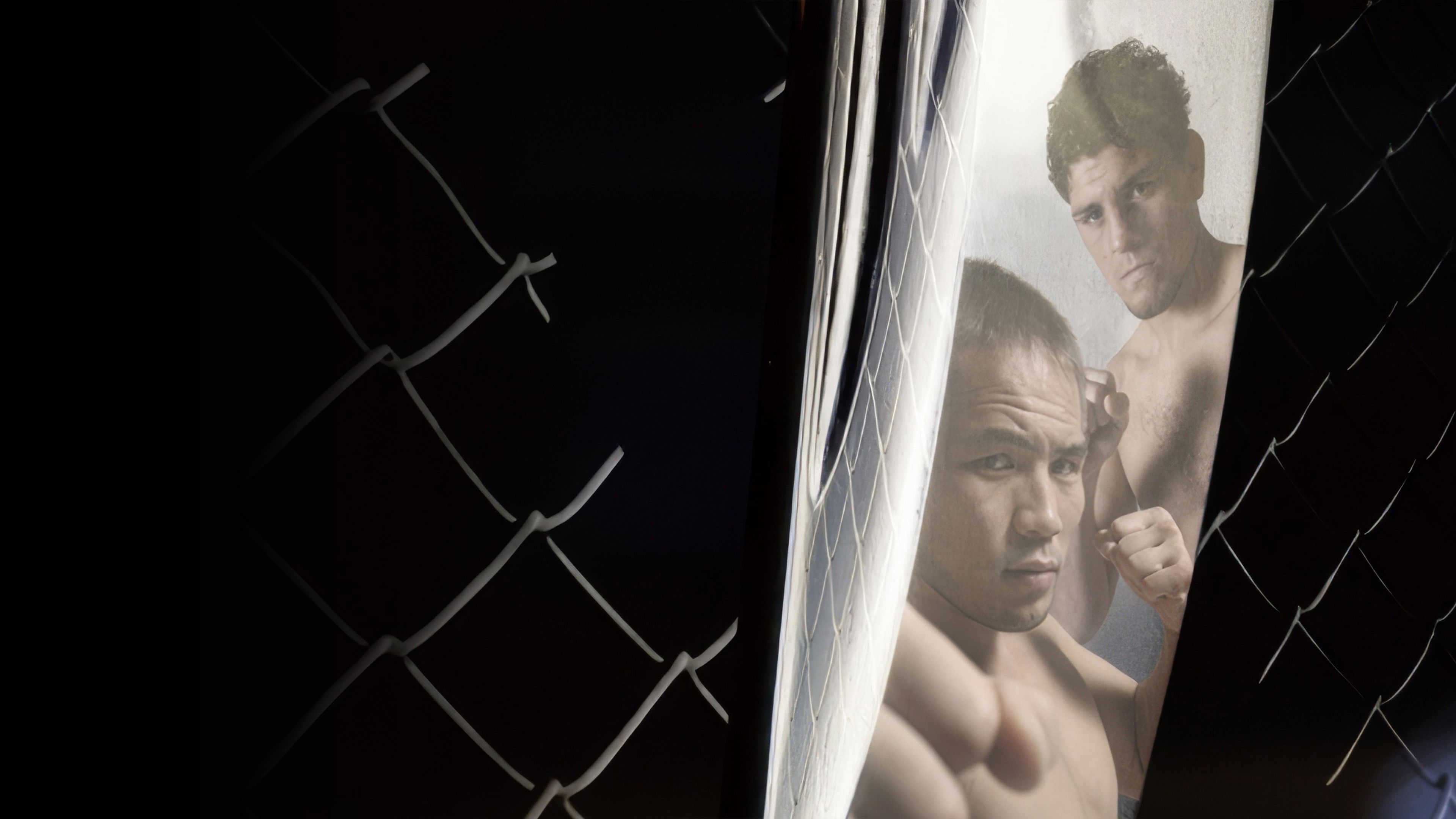 Backdrop for DREAM 14