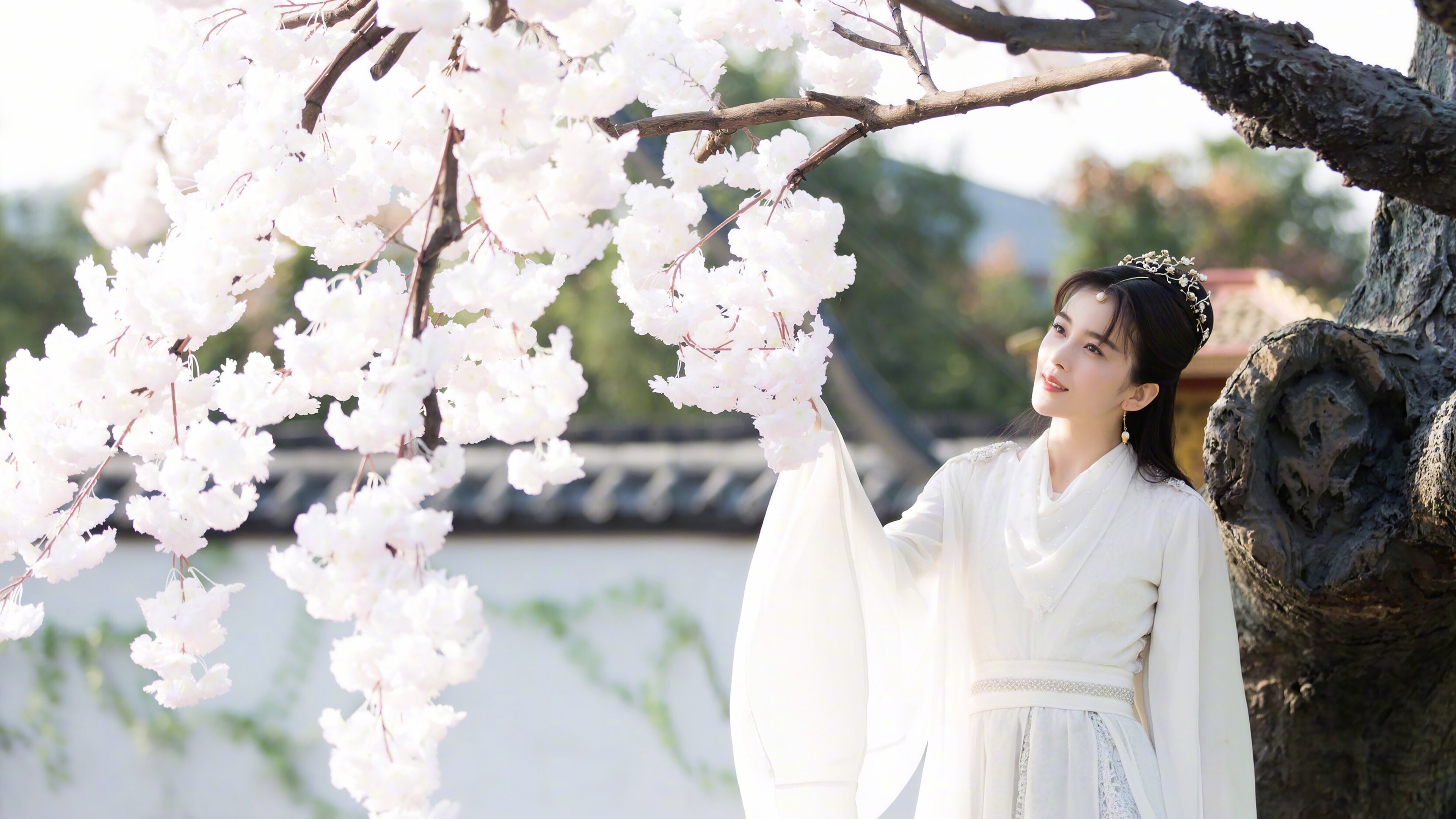 Backdrop for Heroic Journey of Ne Zha