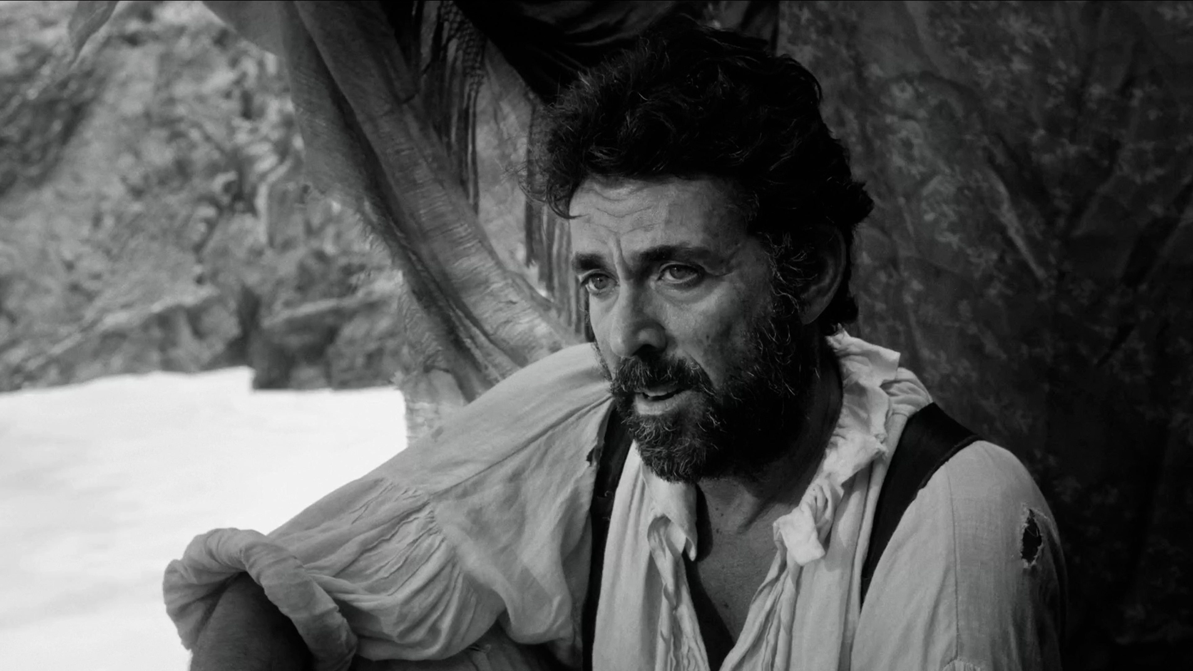 Backdrop for The Survivors