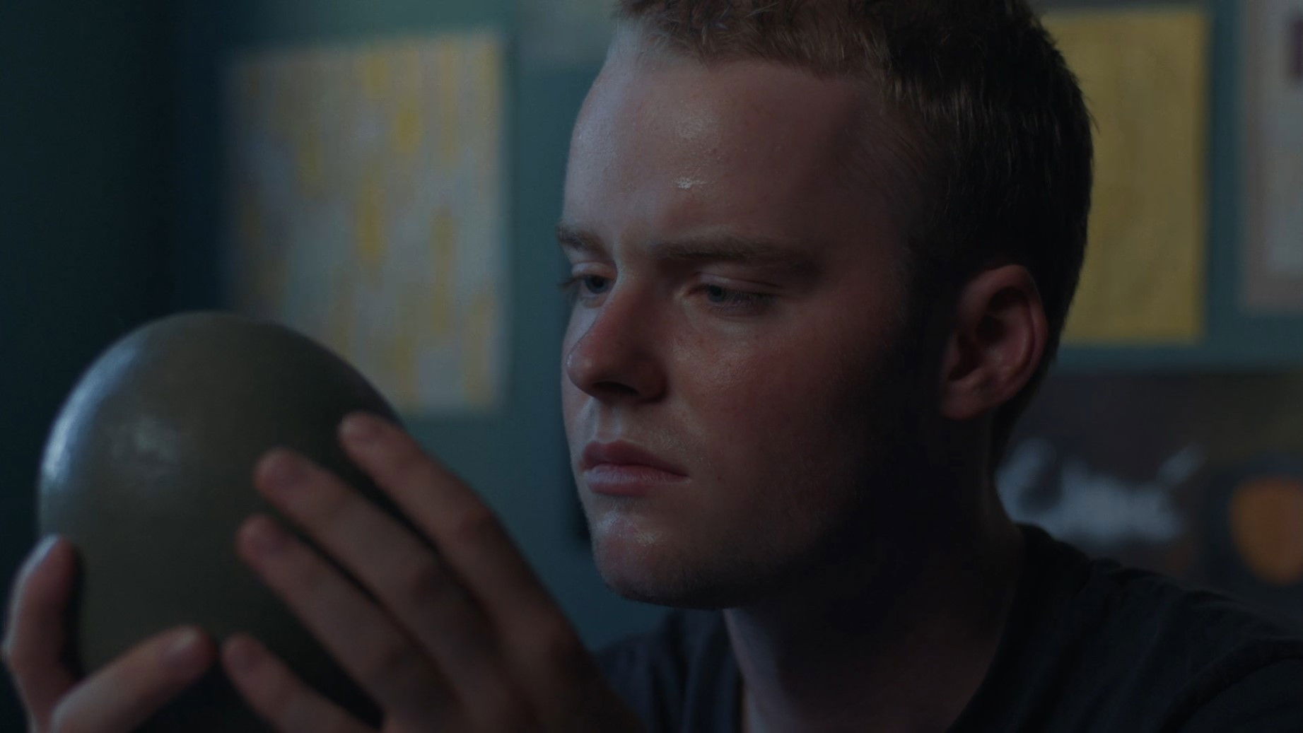 Backdrop for Garnelius