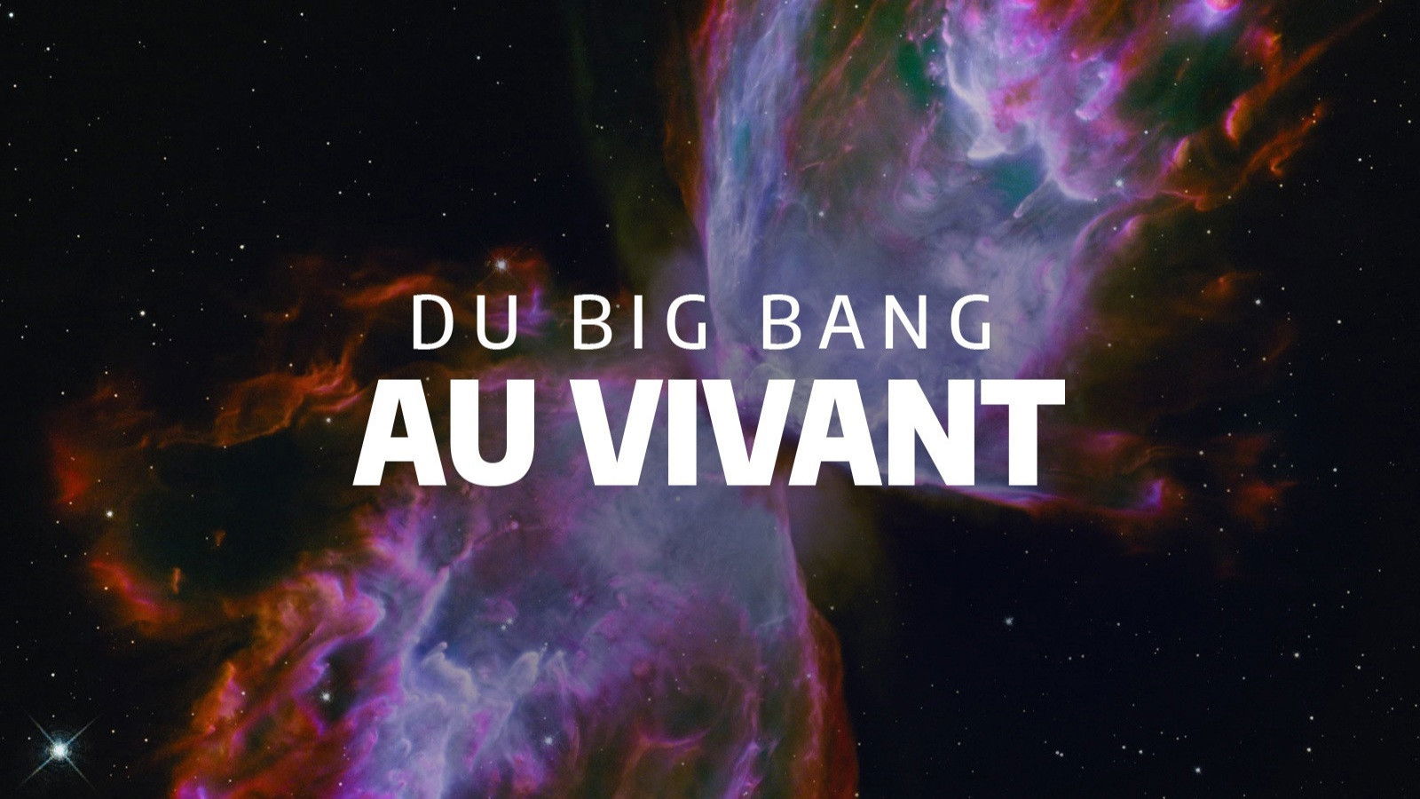 Backdrop for Du Big Bang au vivant