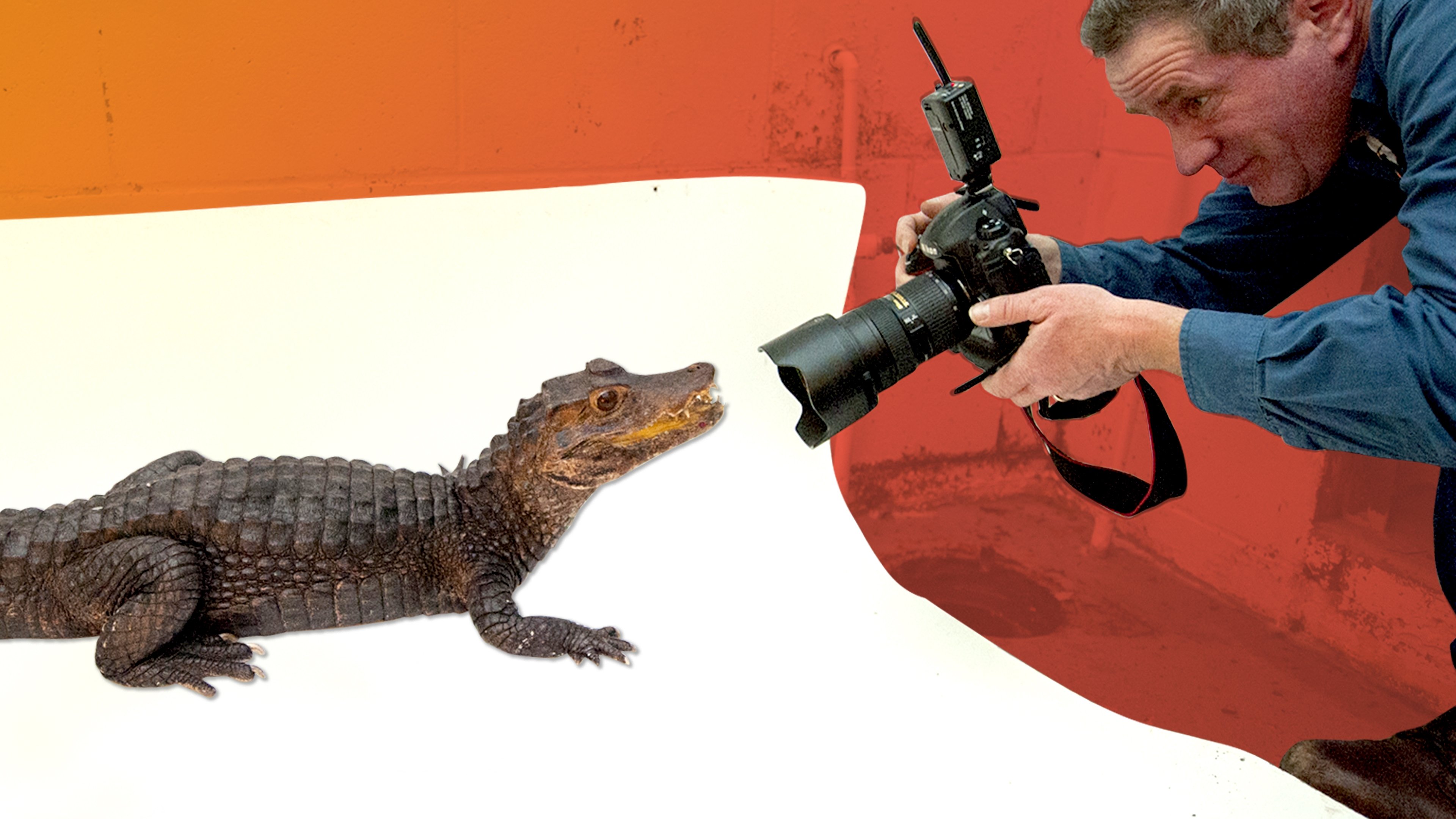 Backdrop for Best Job Ever