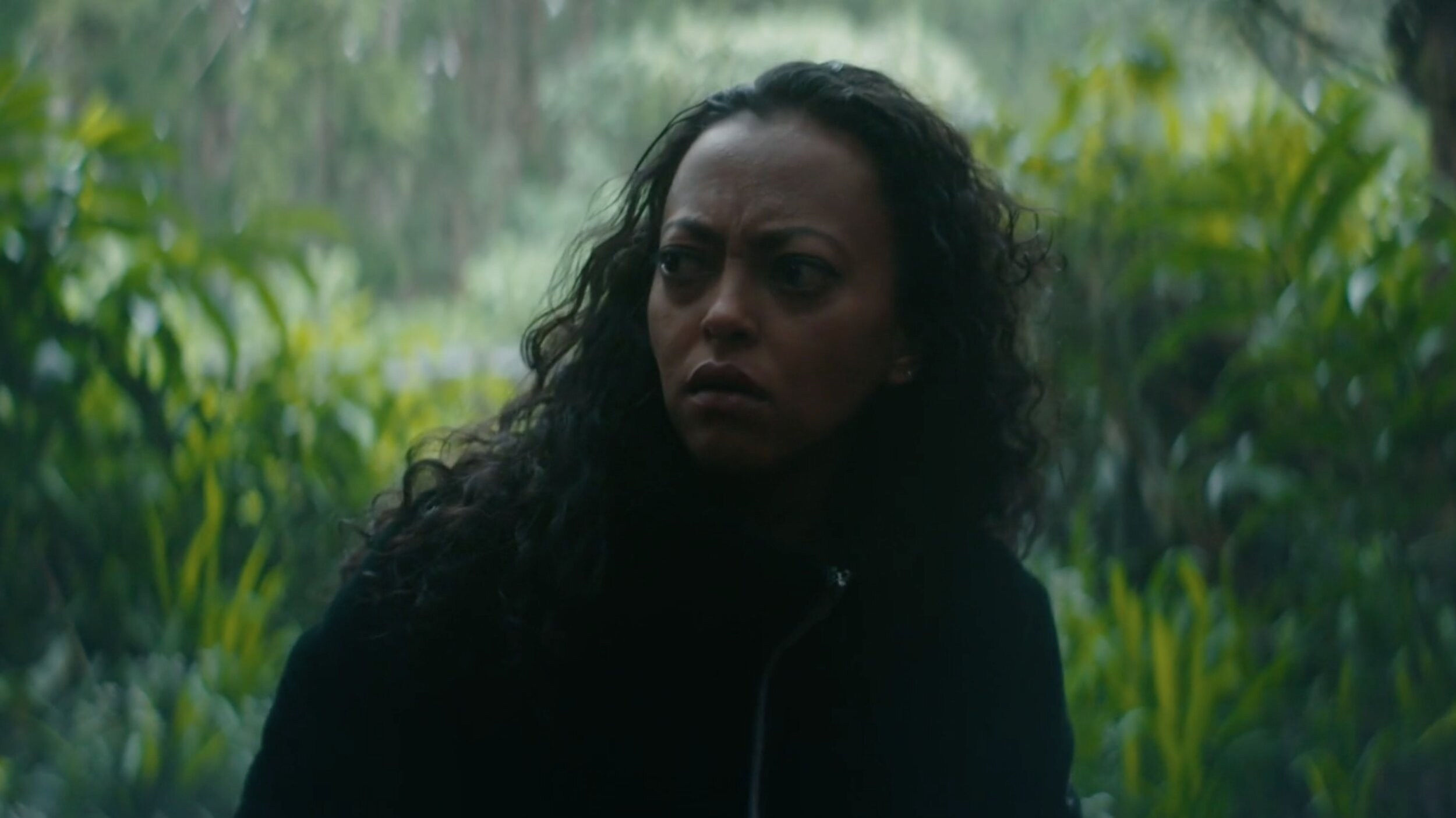 Backdrop for After 6 O'Clock