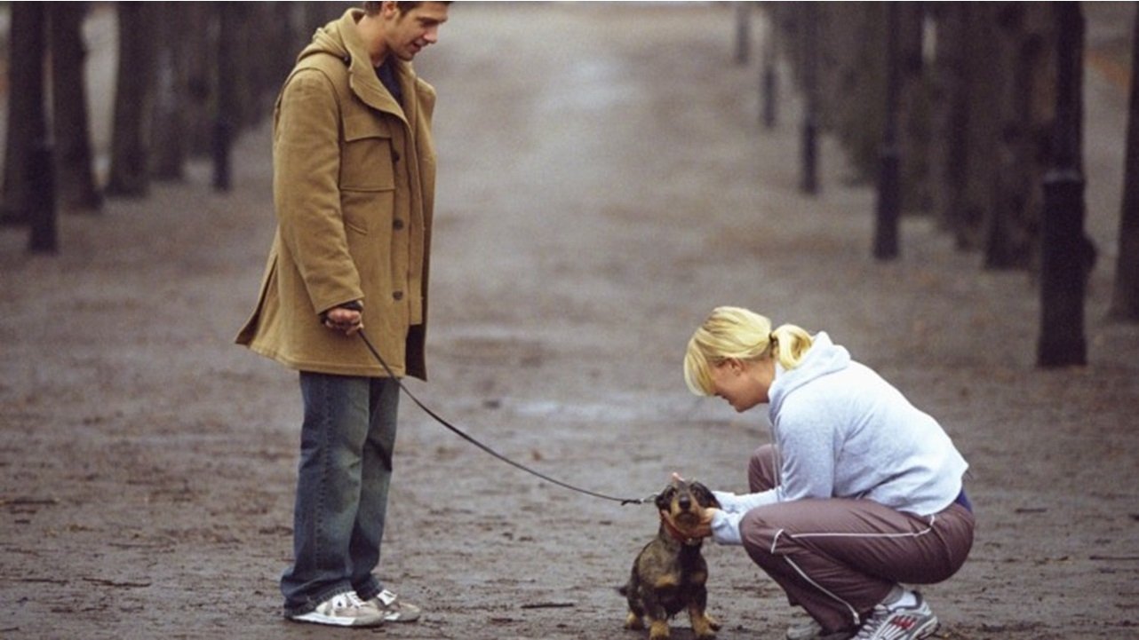 Backdrop for The Dog Trick