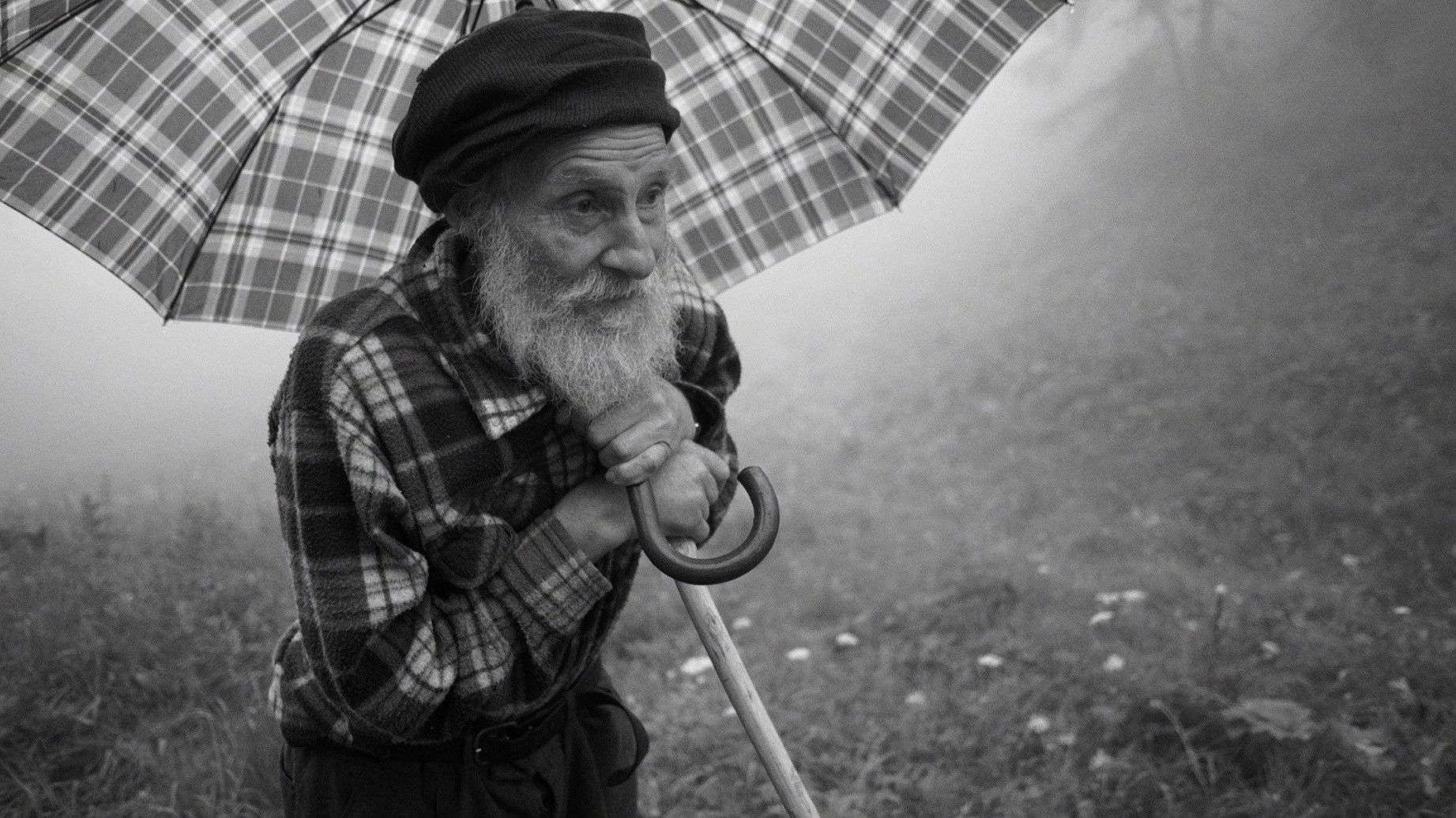 Backdrop for Under the Cold Stars