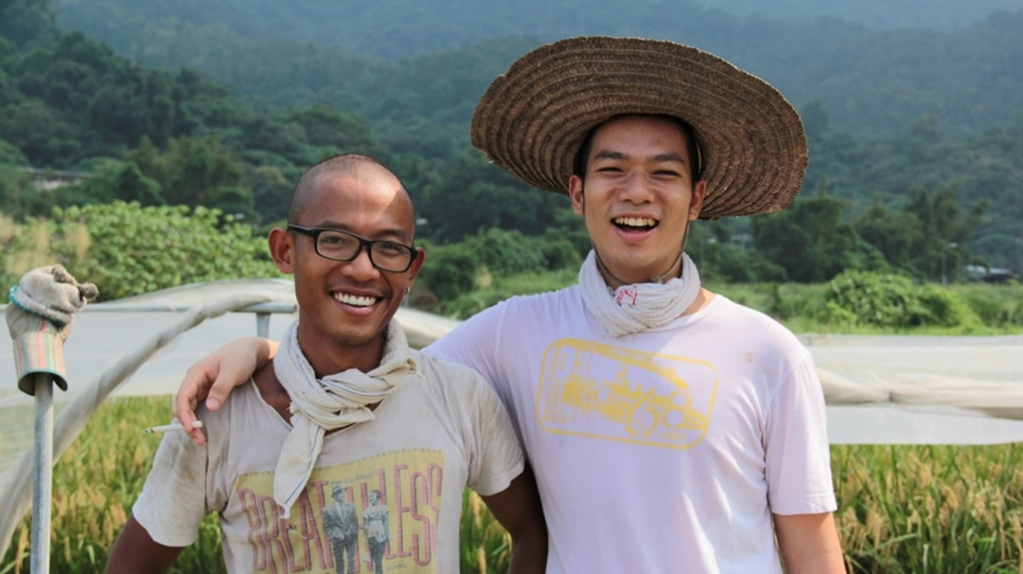 Backdrop for The Way of Paddy