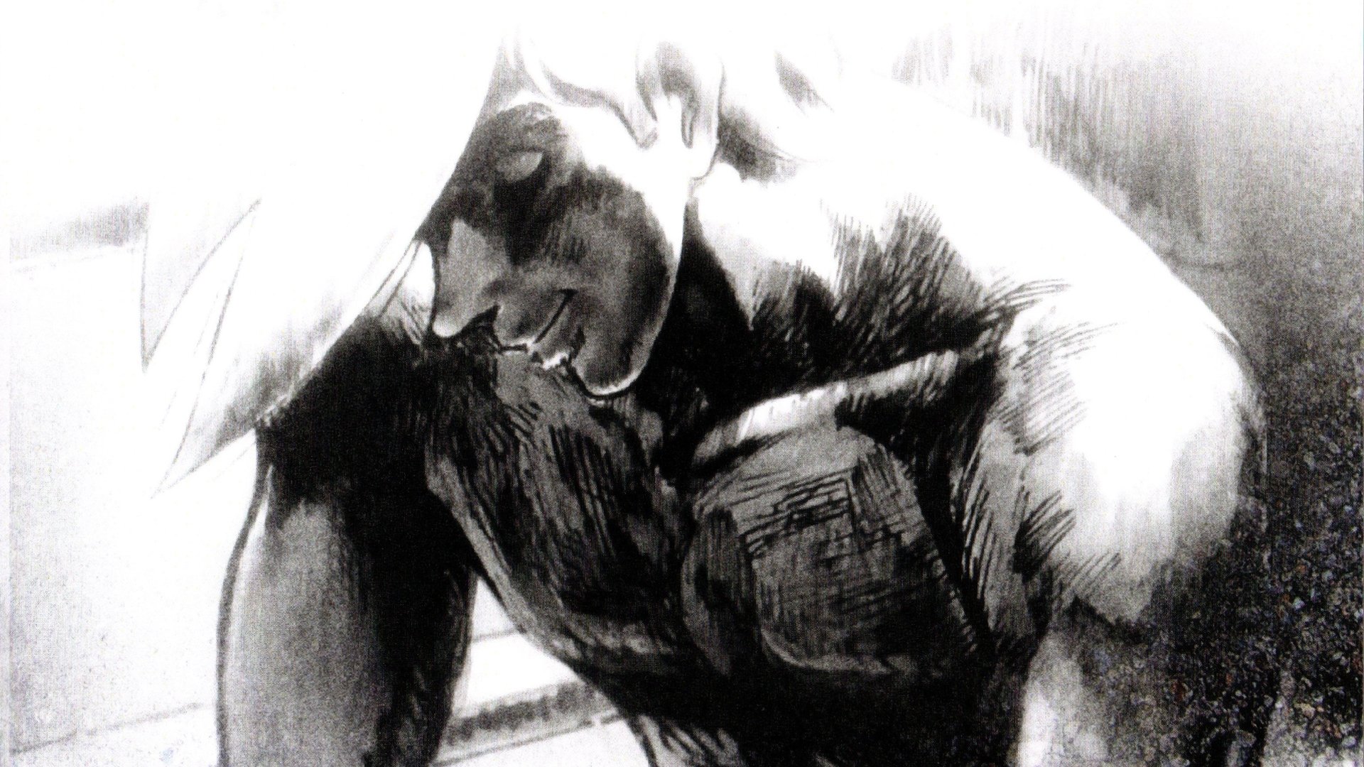 Backdrop for Tomorrow's Joe 2: The Movie