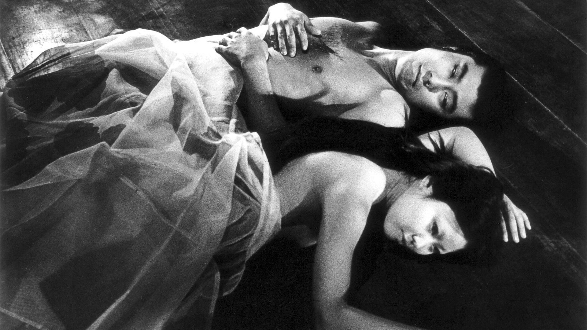 Backdrop for Kuroneko