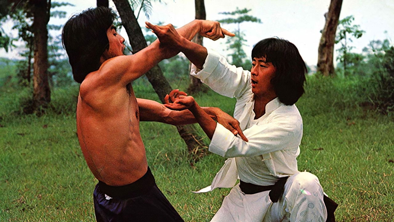 Backdrop for Drunken Arts and Crippled Fist