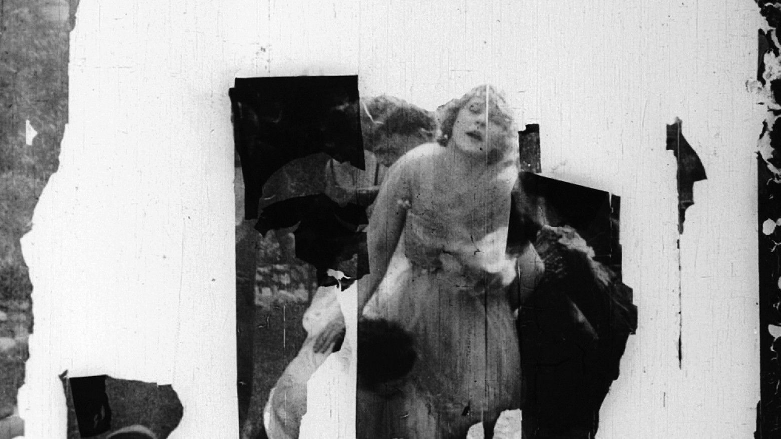 Backdrop for The Social Buccaneer