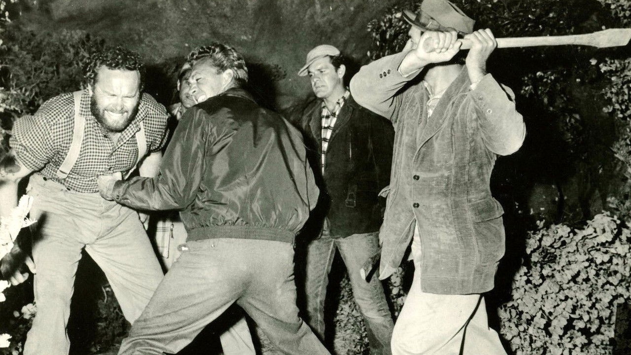 Backdrop for Girl in the Woods