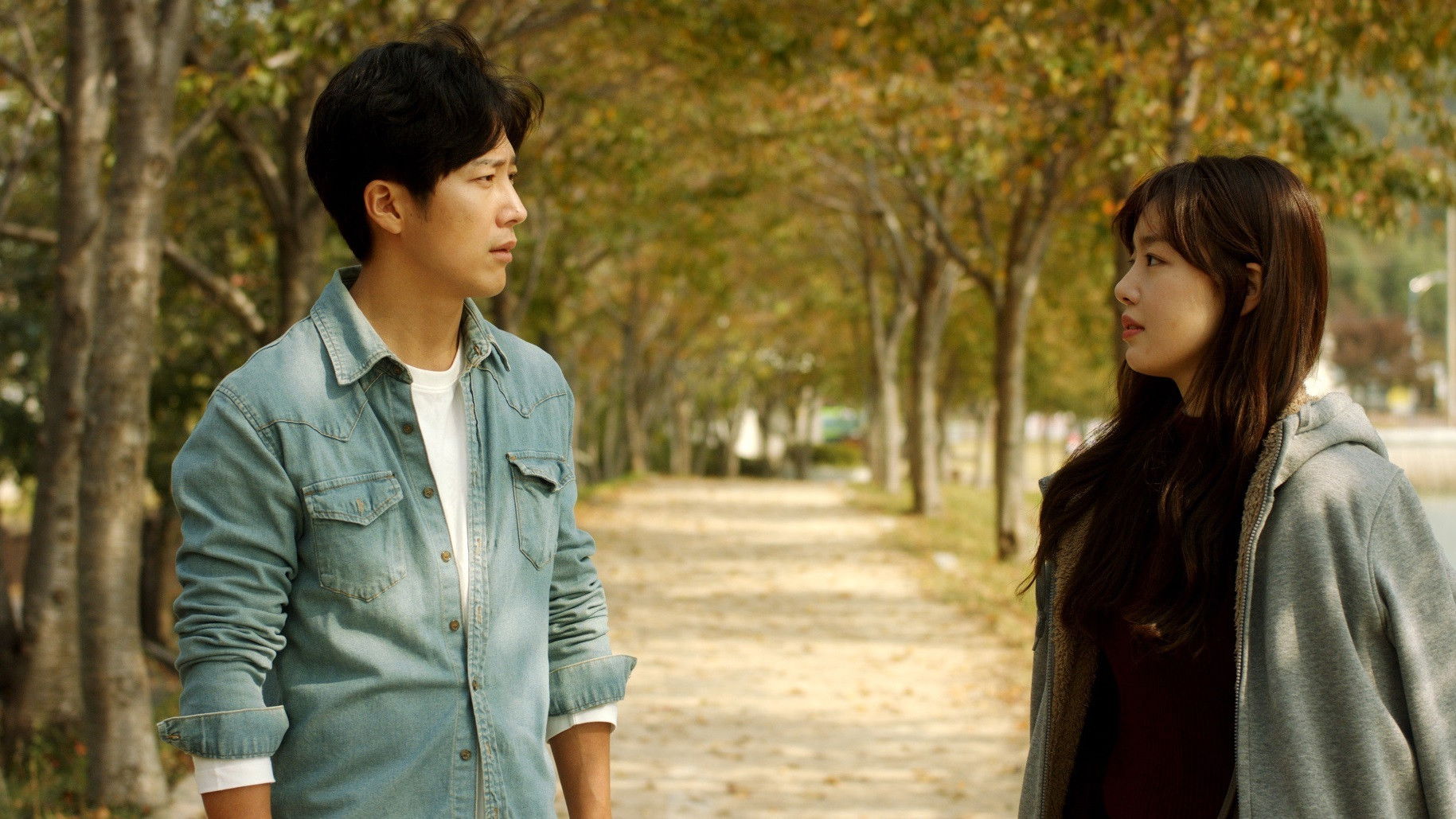 Backdrop for Director's Intention