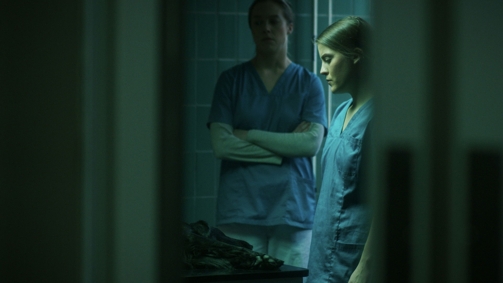 Backdrop for Domestisert