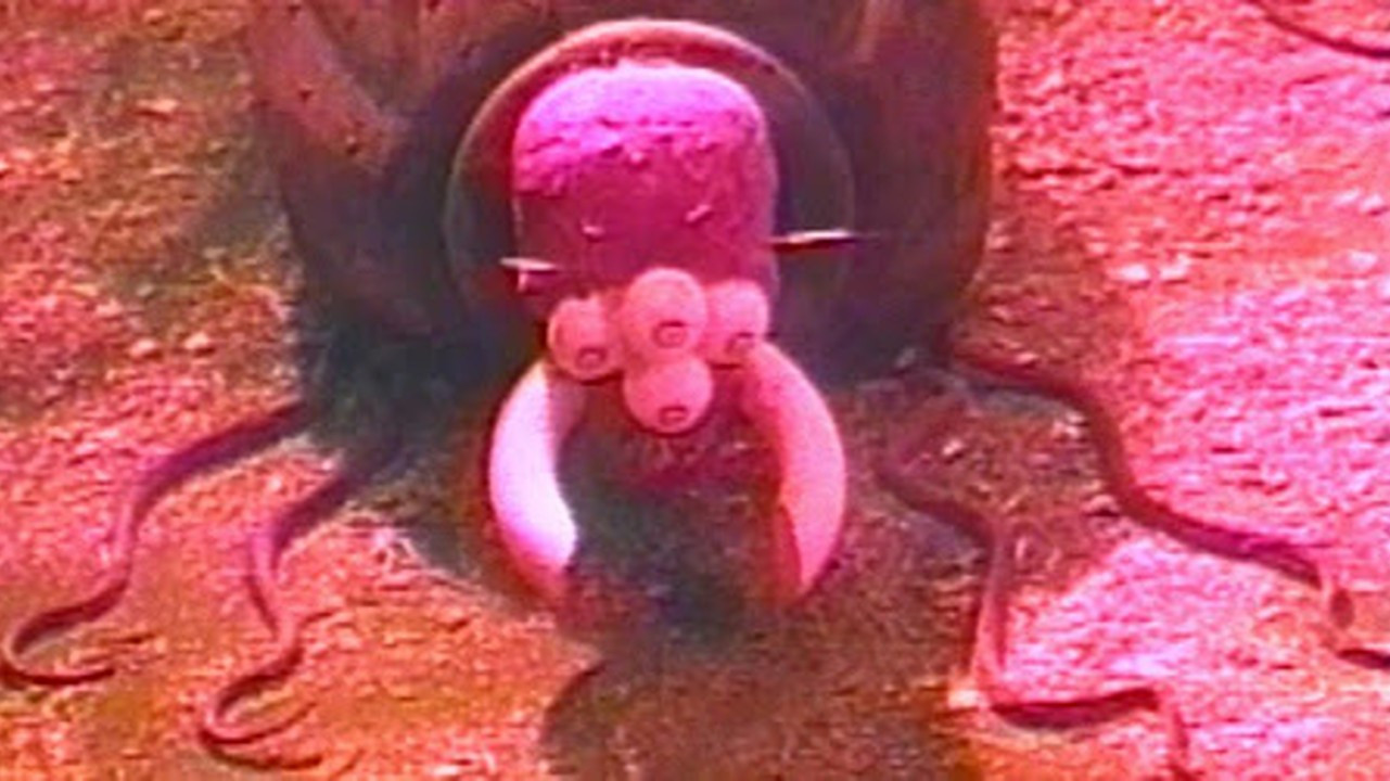 Backdrop for Night Crawlers