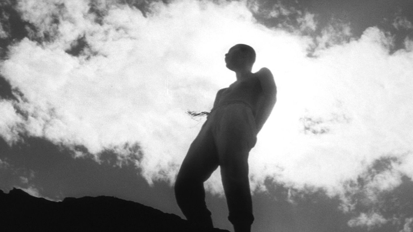 Backdrop for The Catch