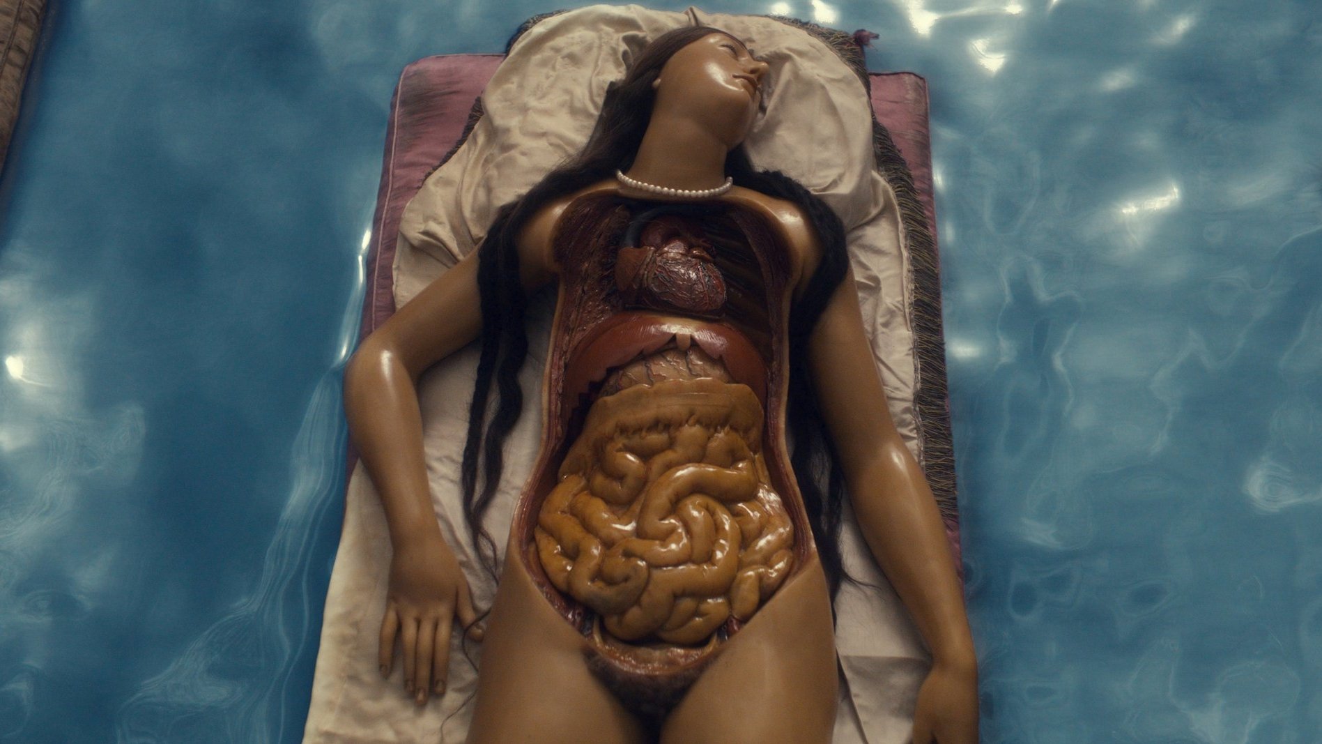 Backdrop for Four Unloved Women, Adrift on a Purposeless Sea, Experience the Ecstasy of Dissection