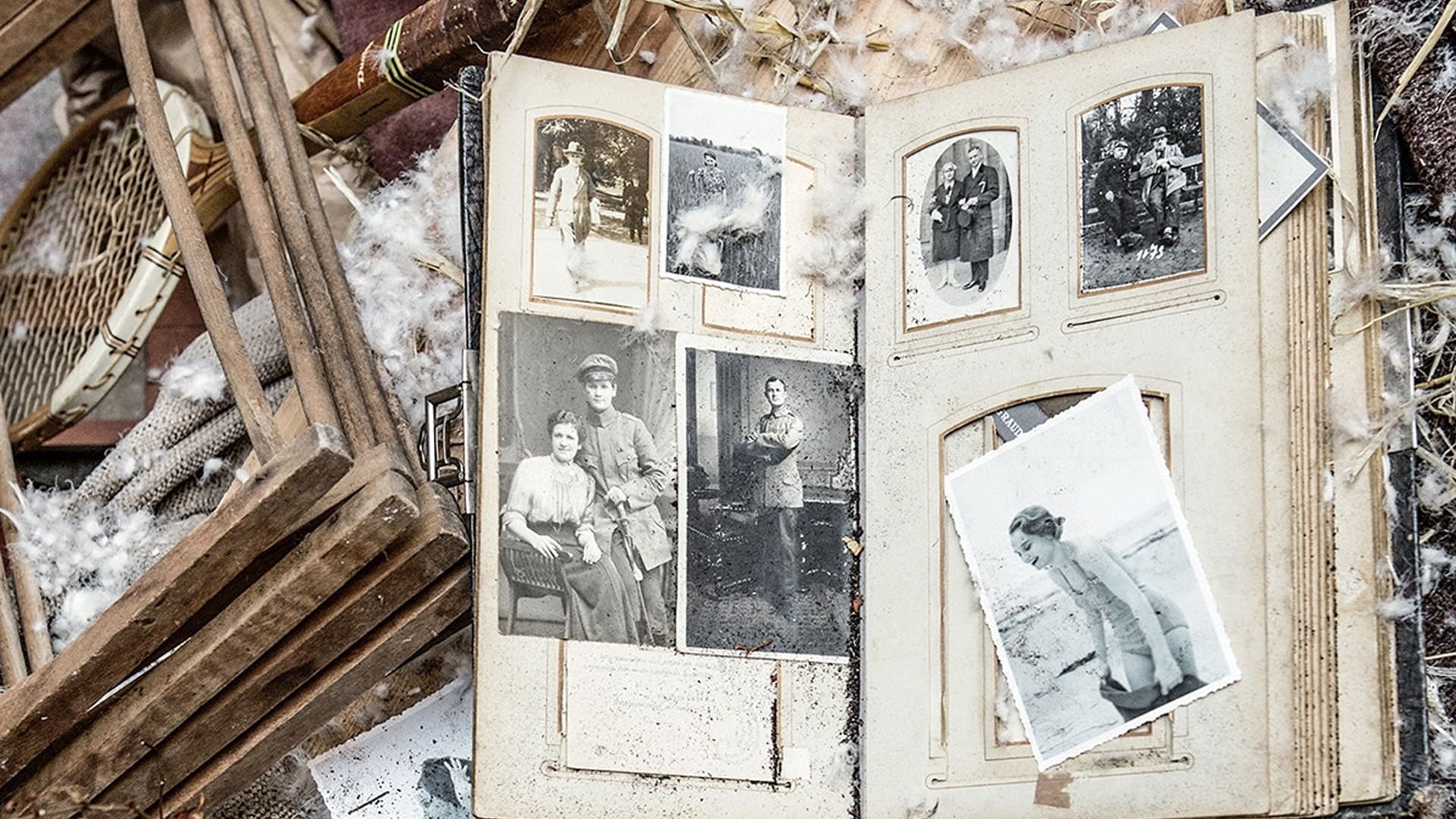 Backdrop for Who Will Write Our History?