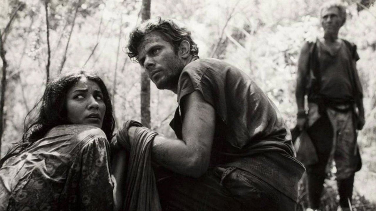 Backdrop for Tragic Jungle