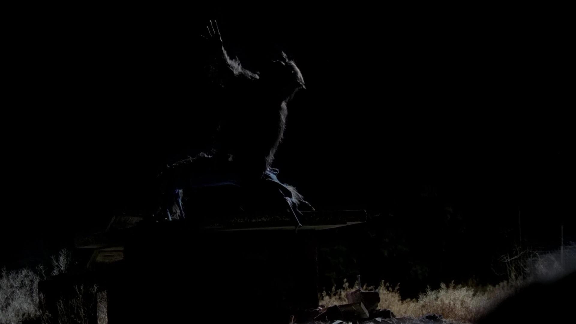 Backdrop for Dark Moon Rising