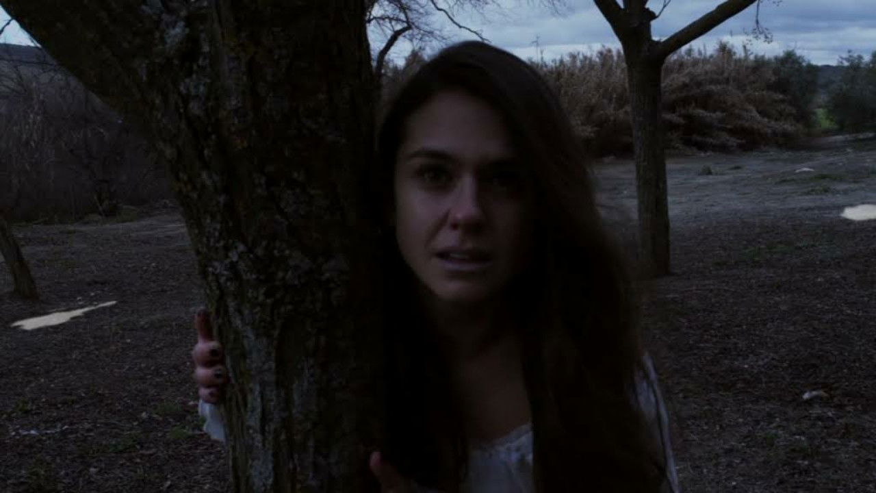 Backdrop for The Barefoot Virgin