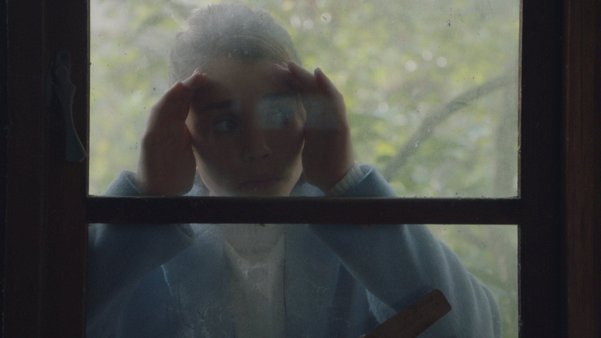 Backdrop for The Lodger