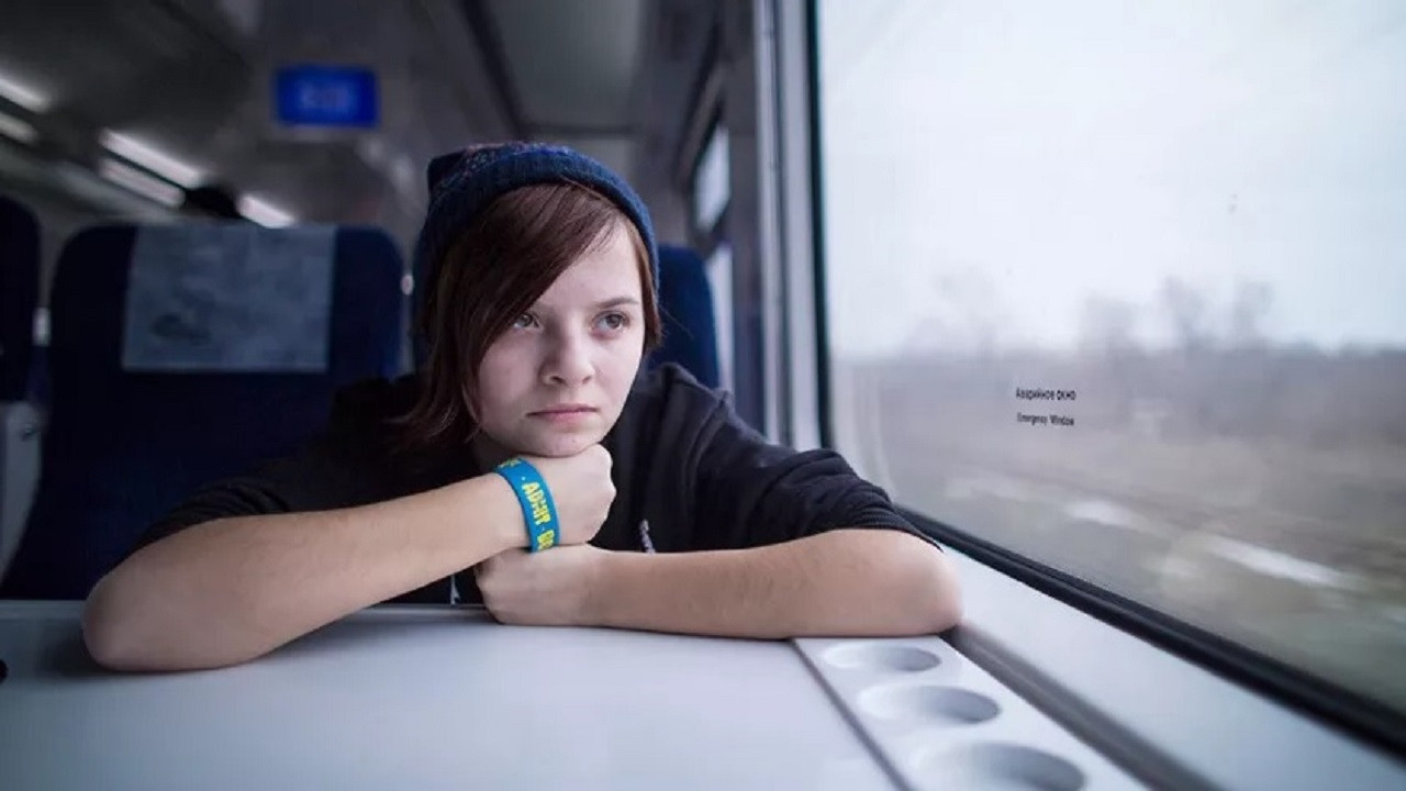 Backdrop for The View From The Window