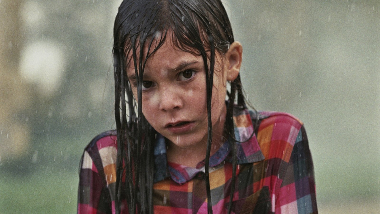 Backdrop for Alleluia