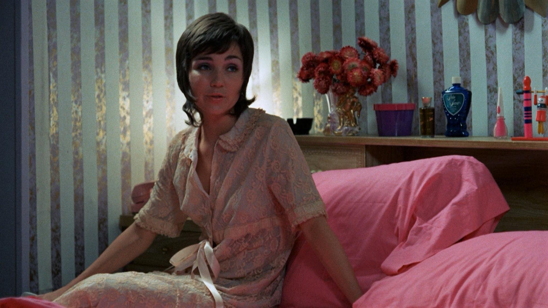 Backdrop for Toys Are Not for Children