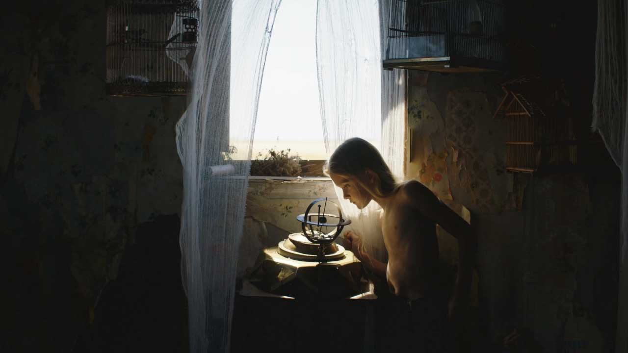 Backdrop for Himalia