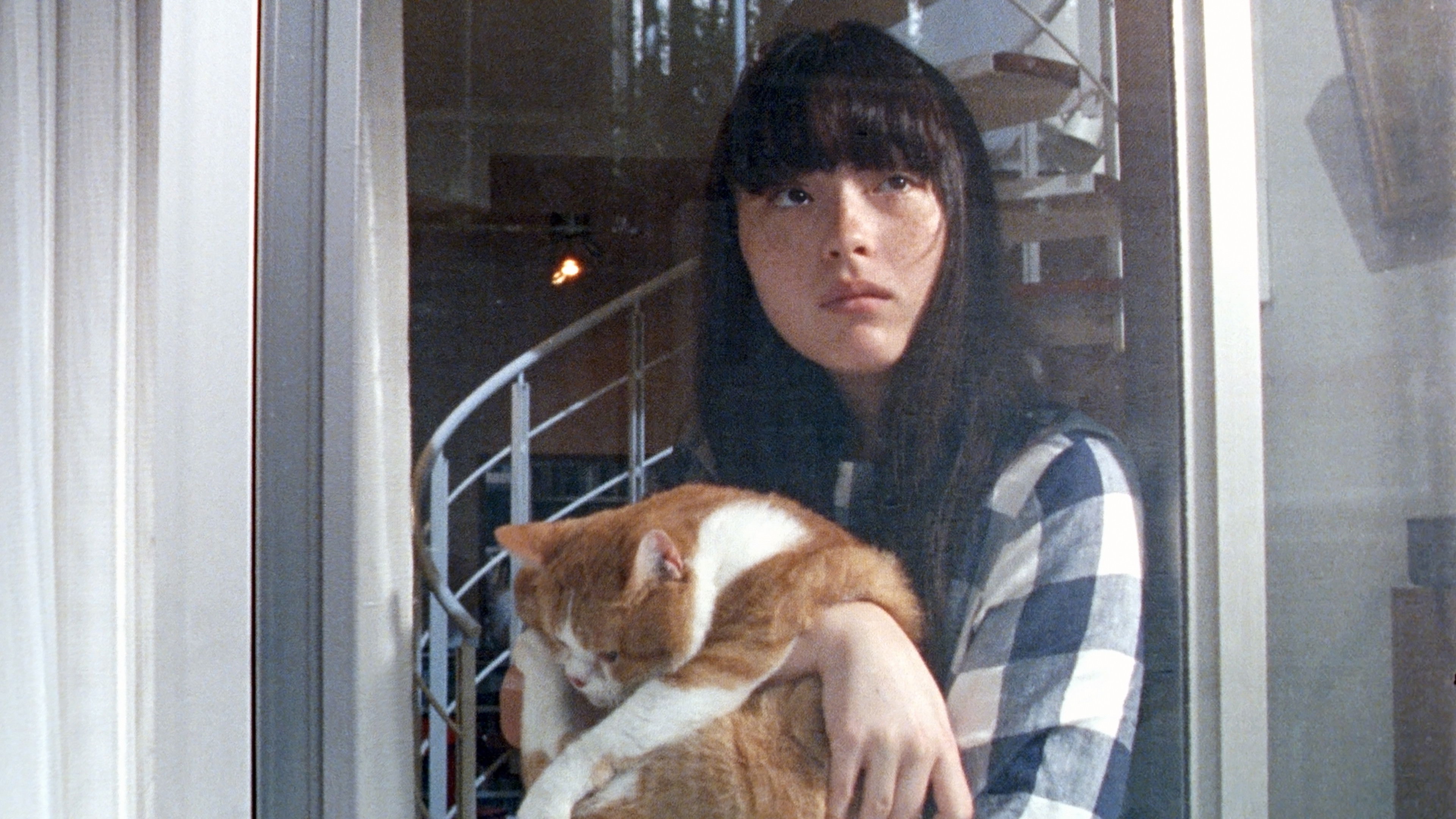 Backdrop for Cat's Home