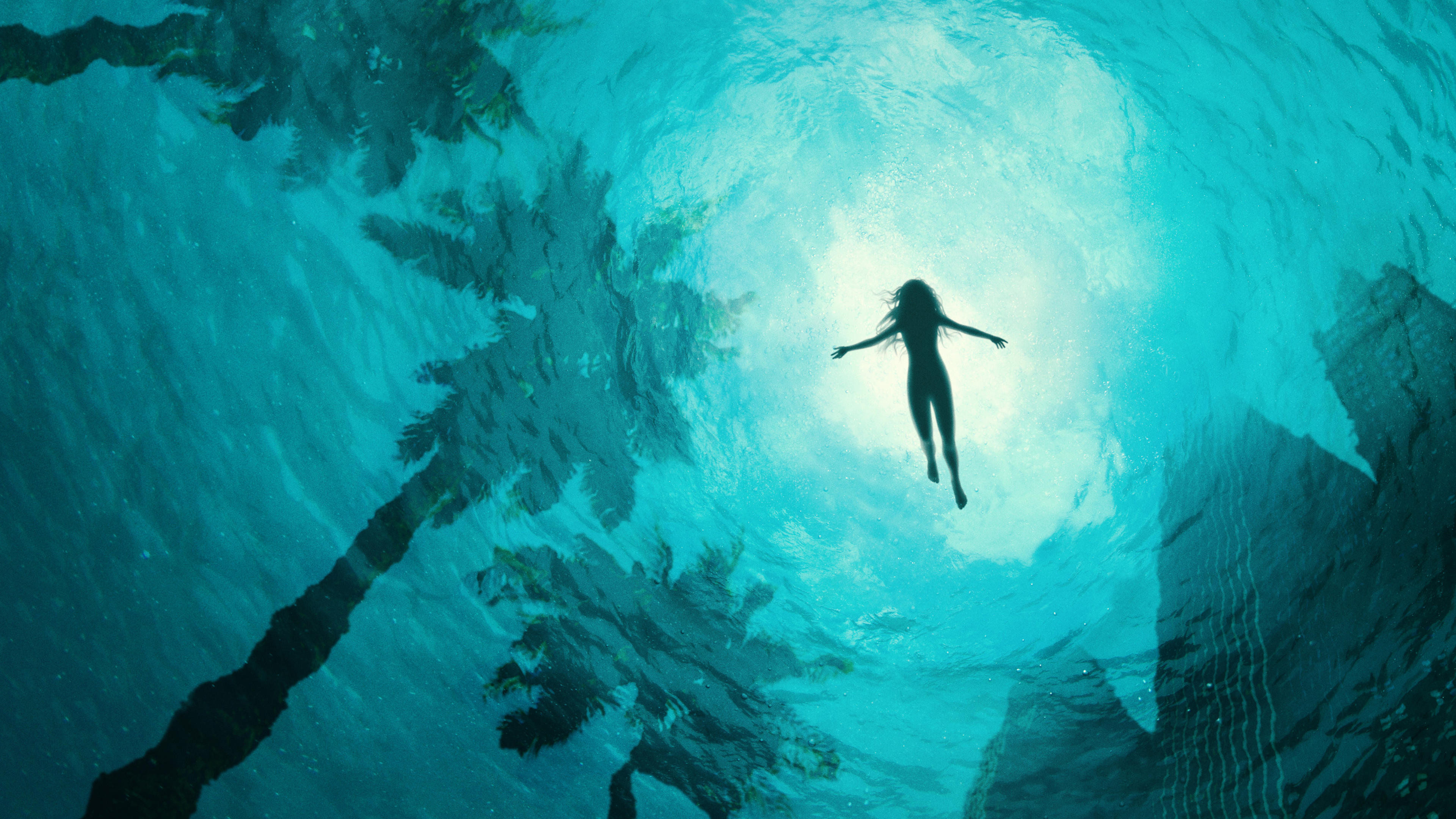 Backdrop for Saint X