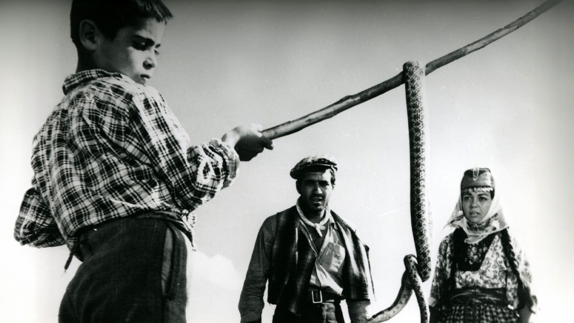 Backdrop for Revenge of the Snakes