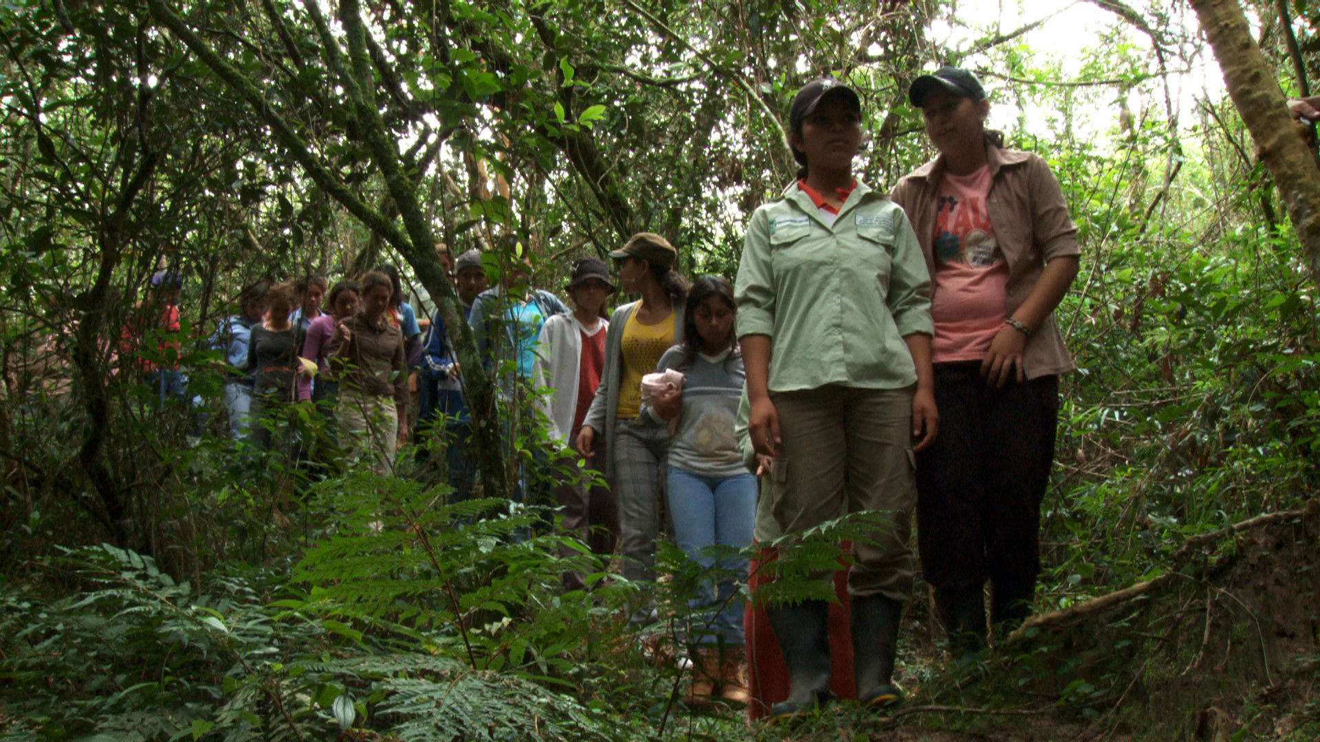 Backdrop for Daughters of the Forest