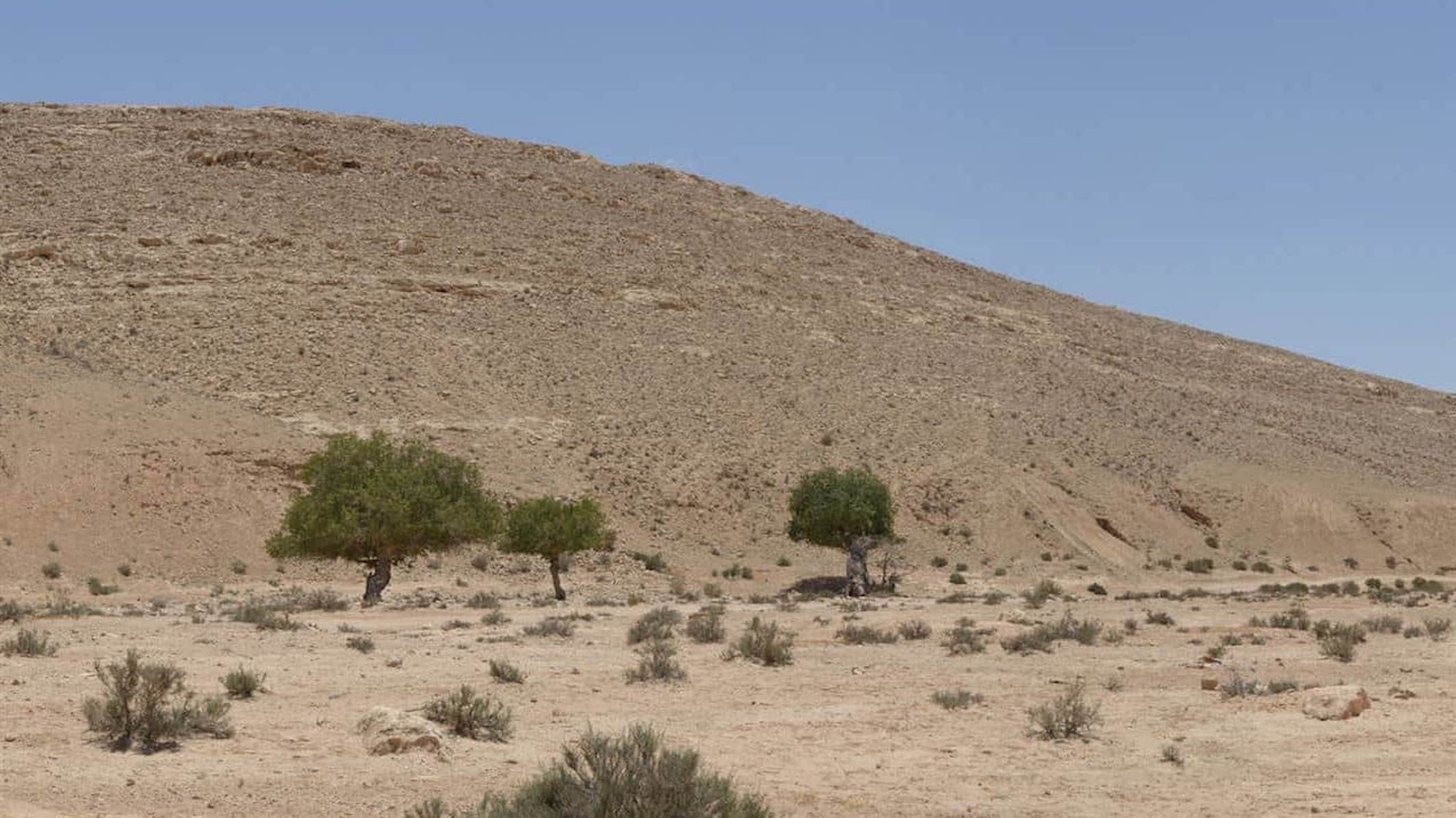 Backdrop for Announcements