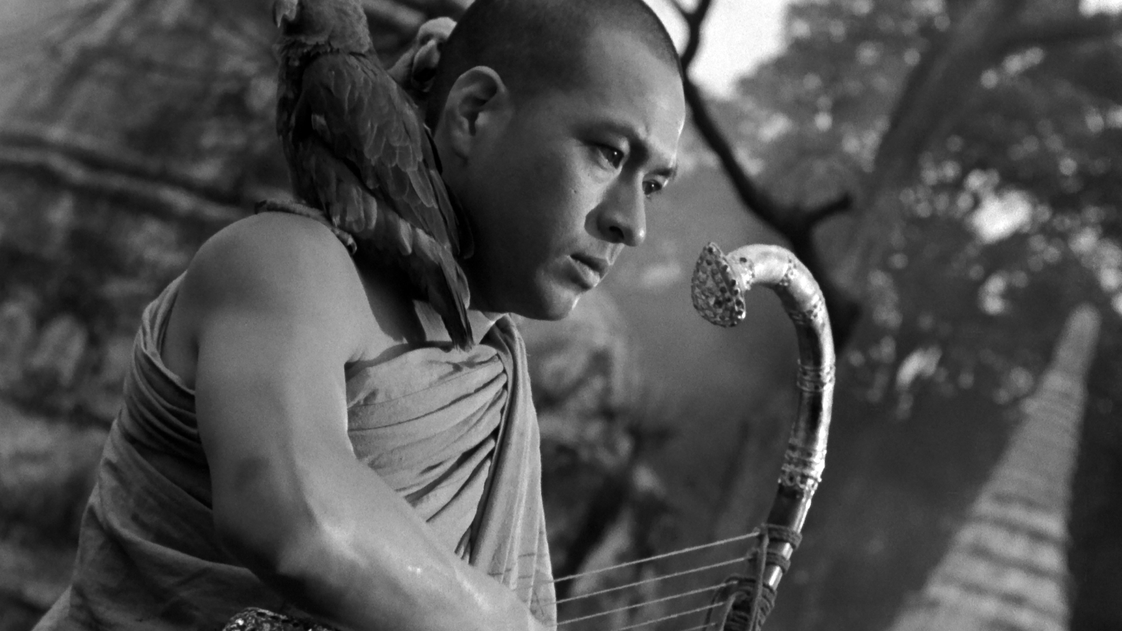 Backdrop for The Burmese Harp