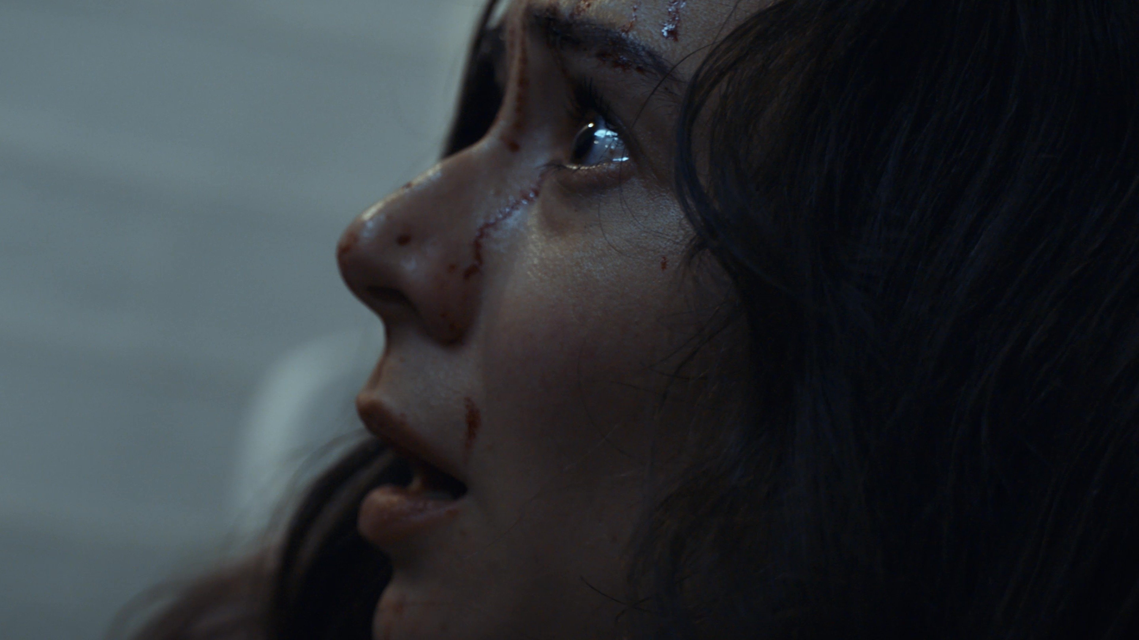 Backdrop for The Silhouette