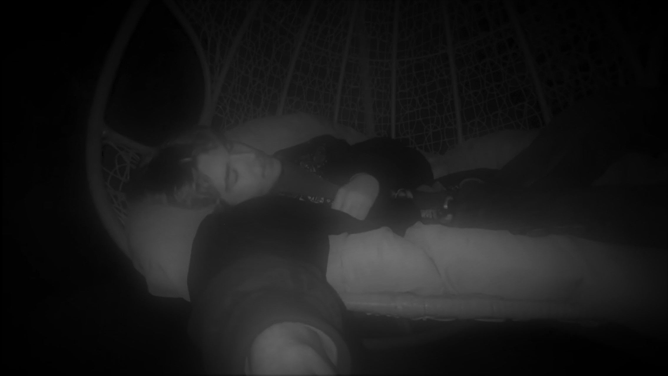 Backdrop for The Gruesome Grizzly Death of Dean Taaffee