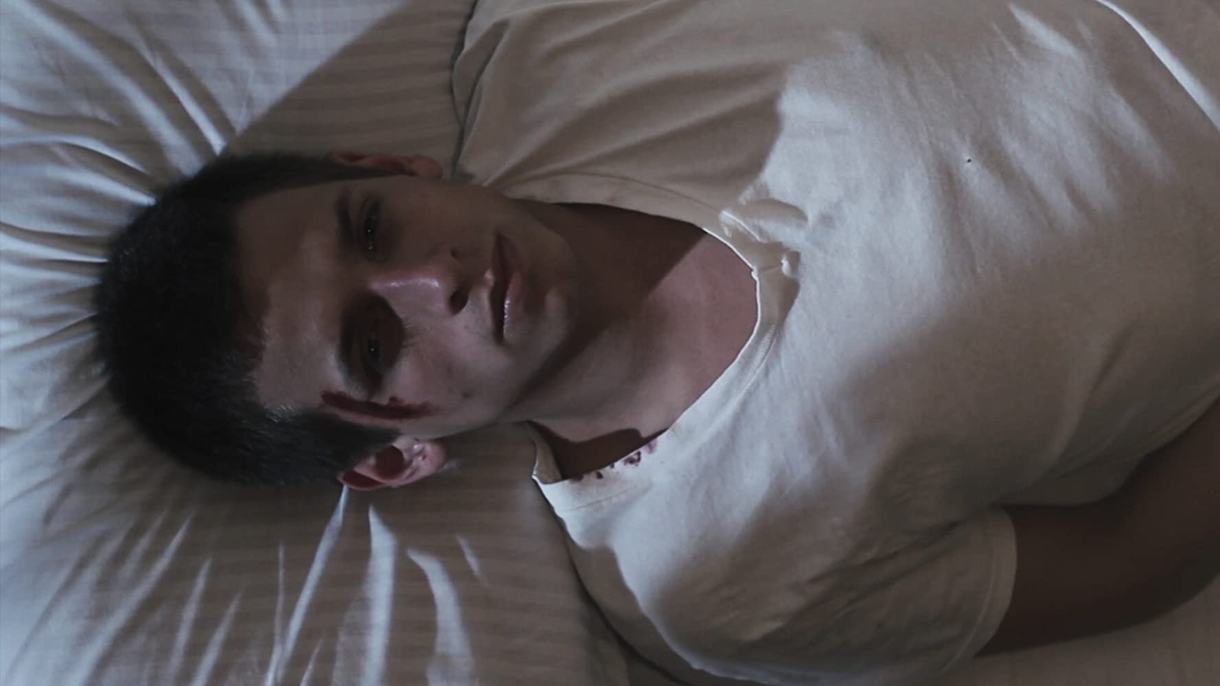 Backdrop for The Night Is Young