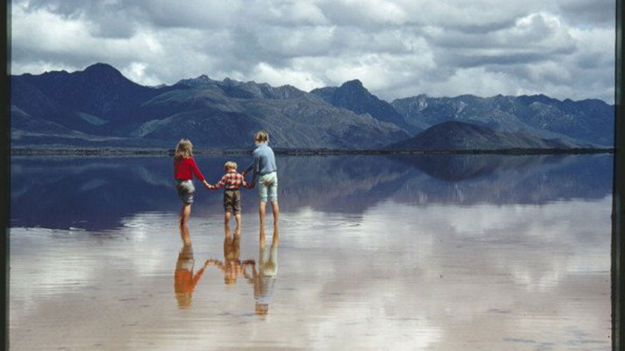 Backdrop for Wildness