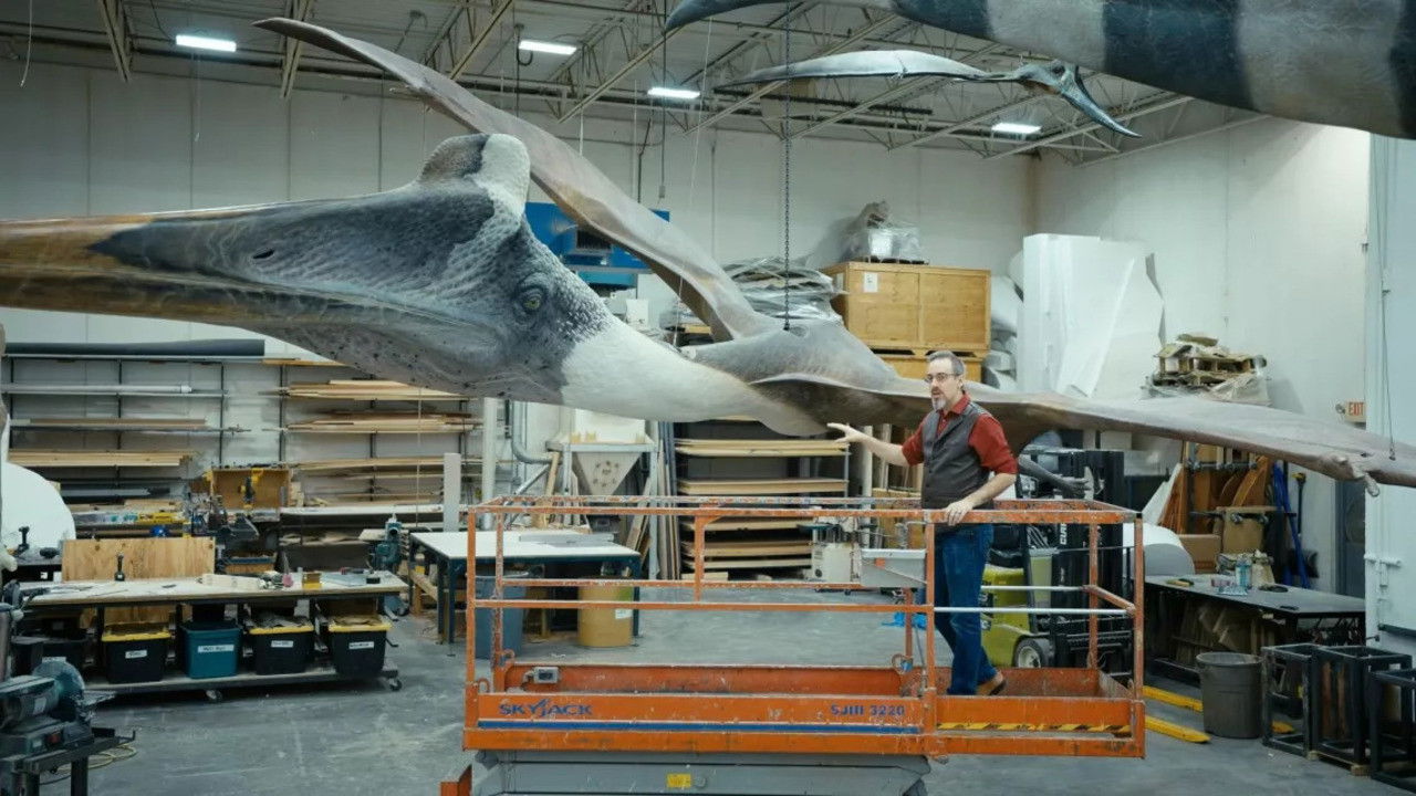 Backdrop for Le rêve de Léonard : Les secrets du vol dans la nature