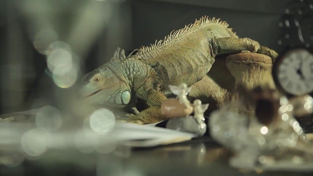 Backdrop for Who Will Be My Husband?