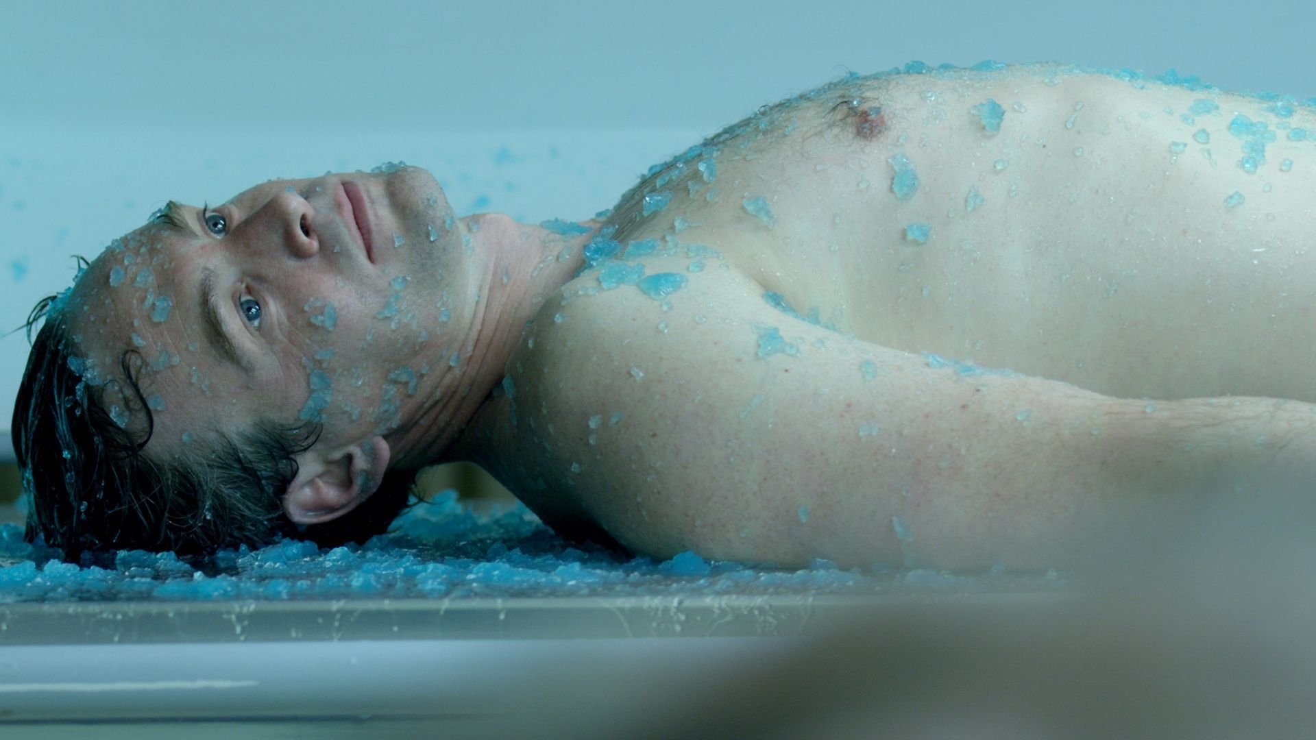 Backdrop for Transfers