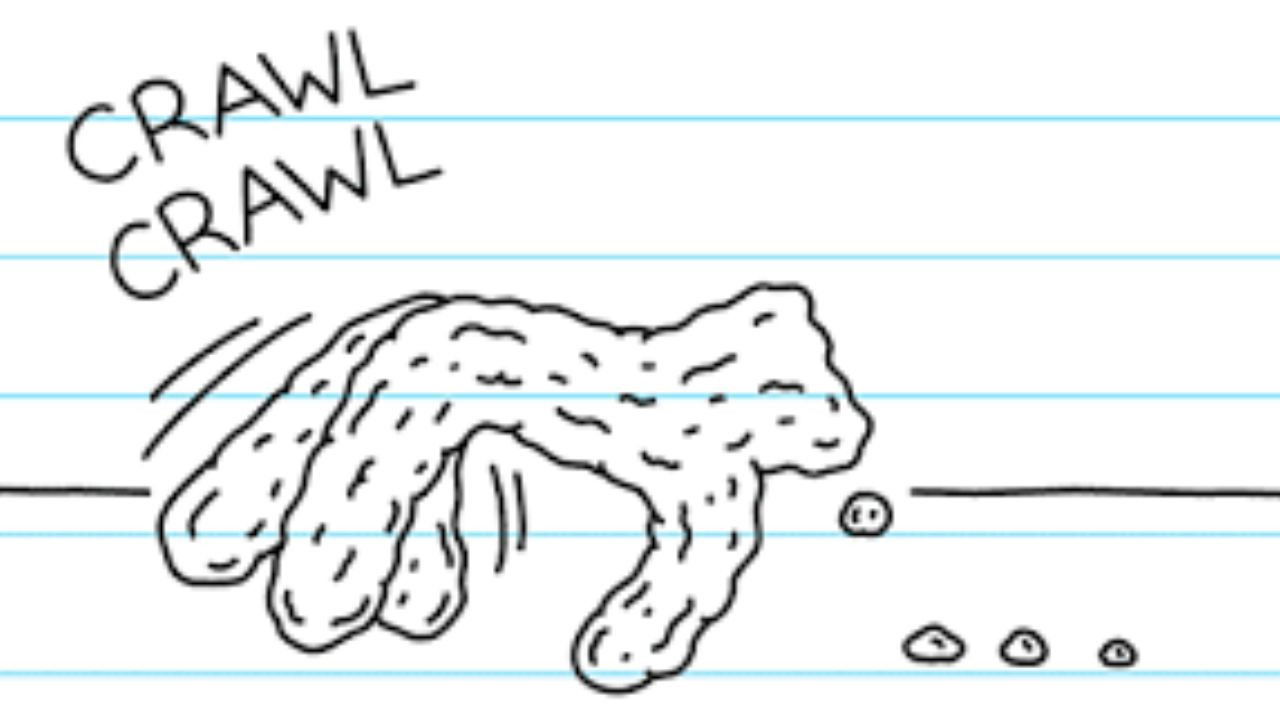 Backdrop for The Muddy Hand