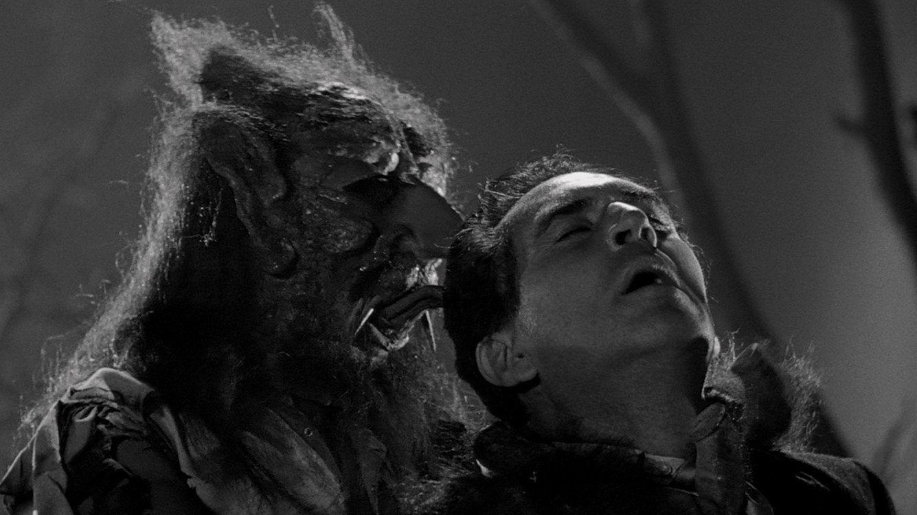 Backdrop for The Brainiac