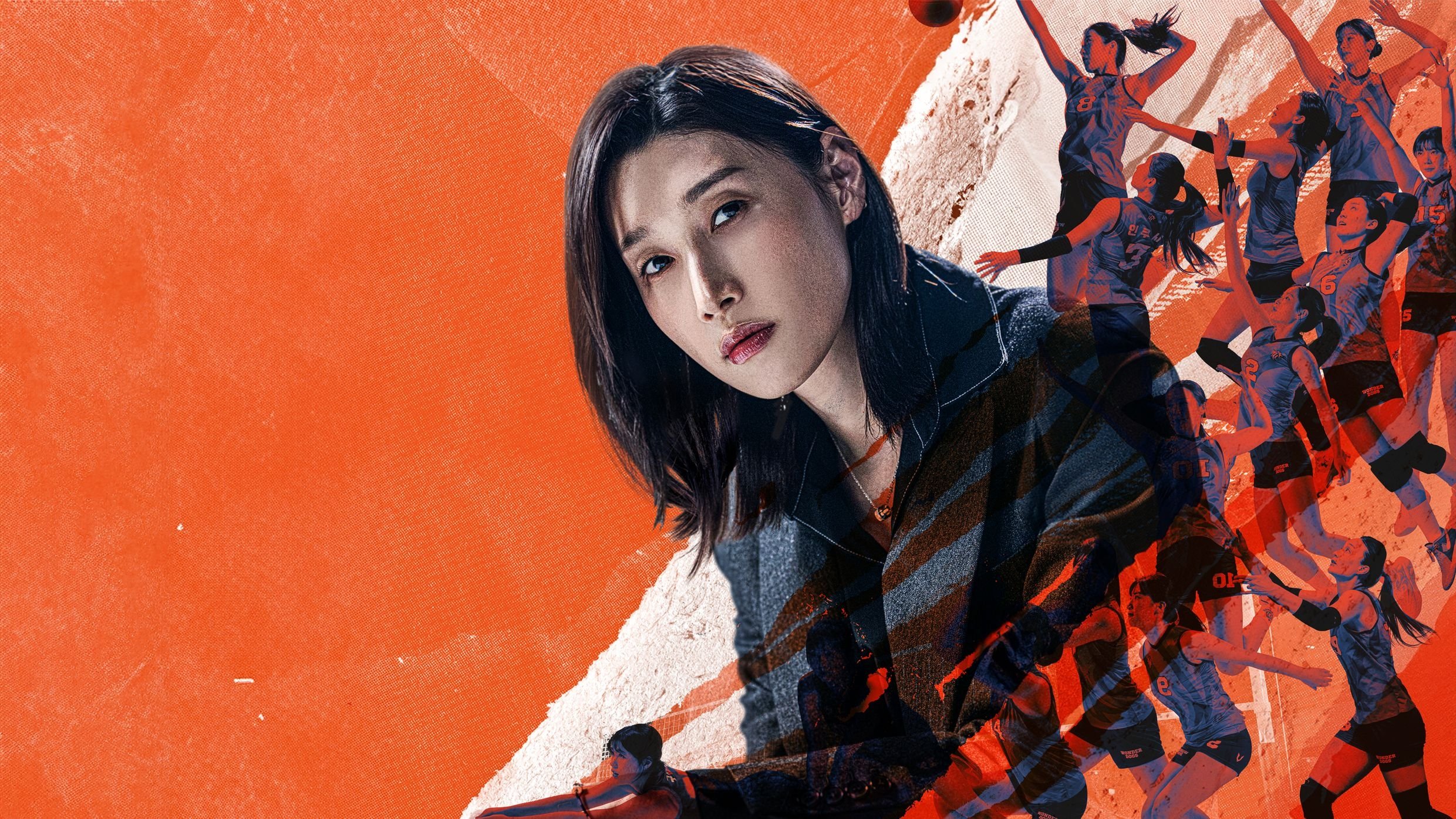 Backdrop for The Wonder Coach